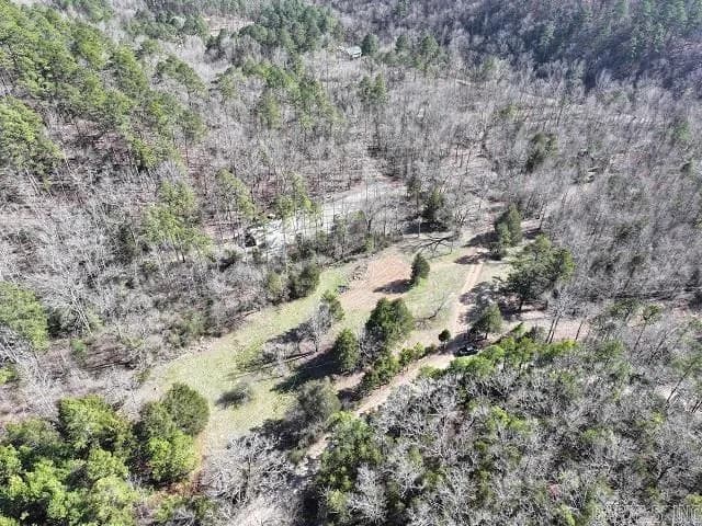 Property at 101  Brushy creek - Image 22