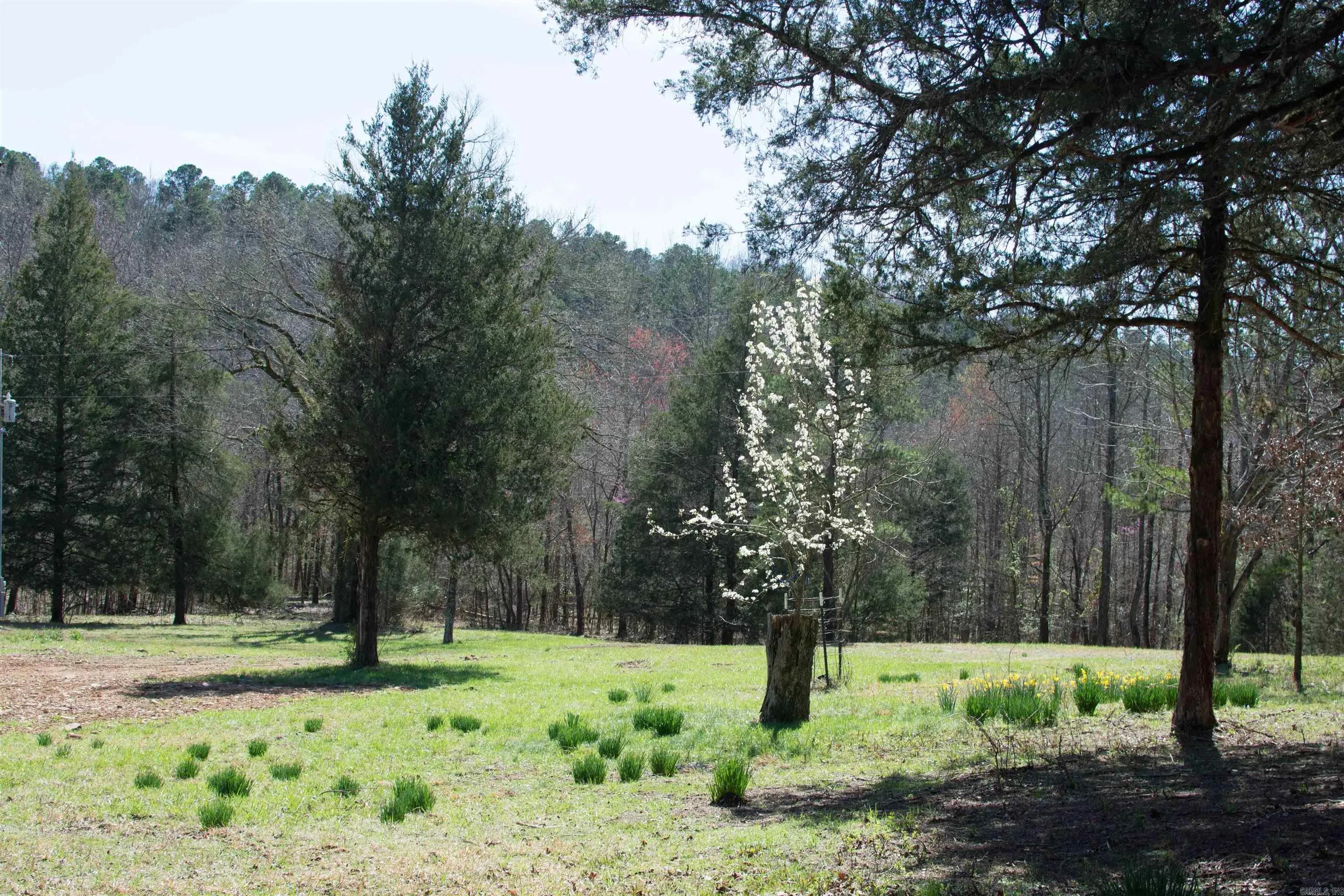 Property at 101  Brushy creek - Image 11
