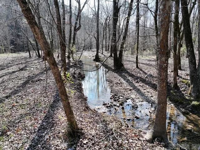 Property at 101  Brushy creek - Image 9