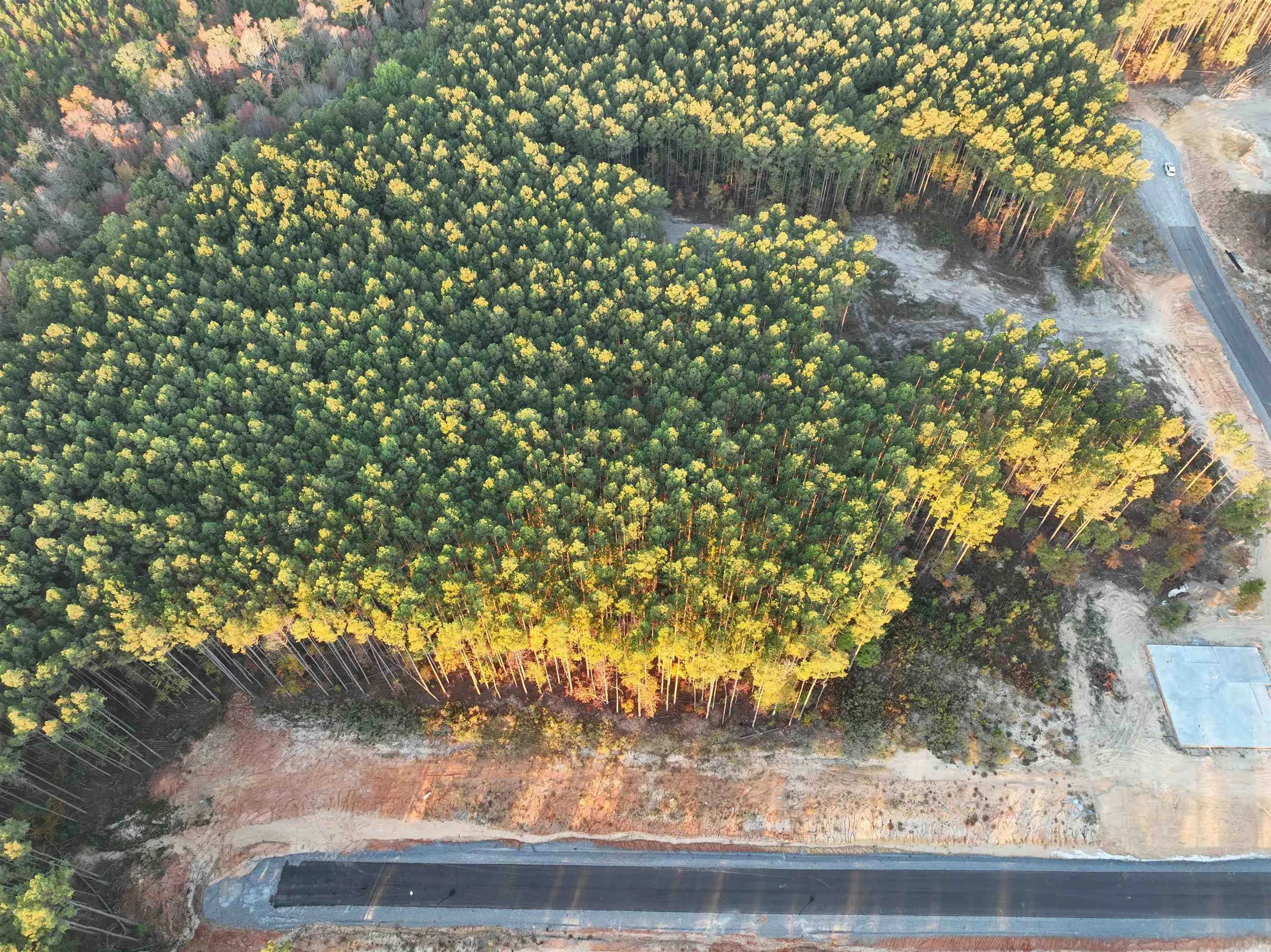 Property at TBD  Mountain pine  Tract 38 - Image 8