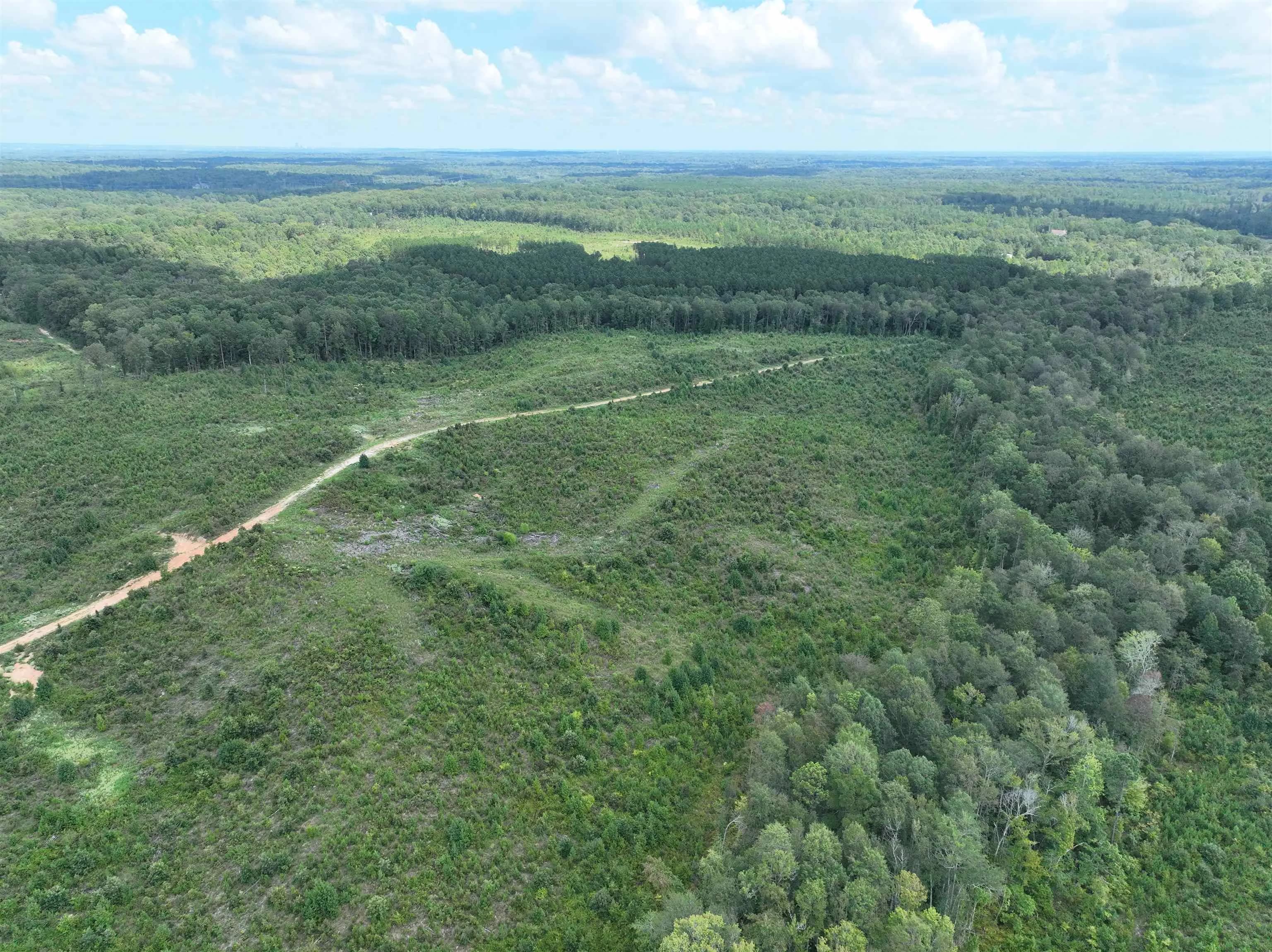 Property at TBD  Mountain pine  Tract 37 - Image 17