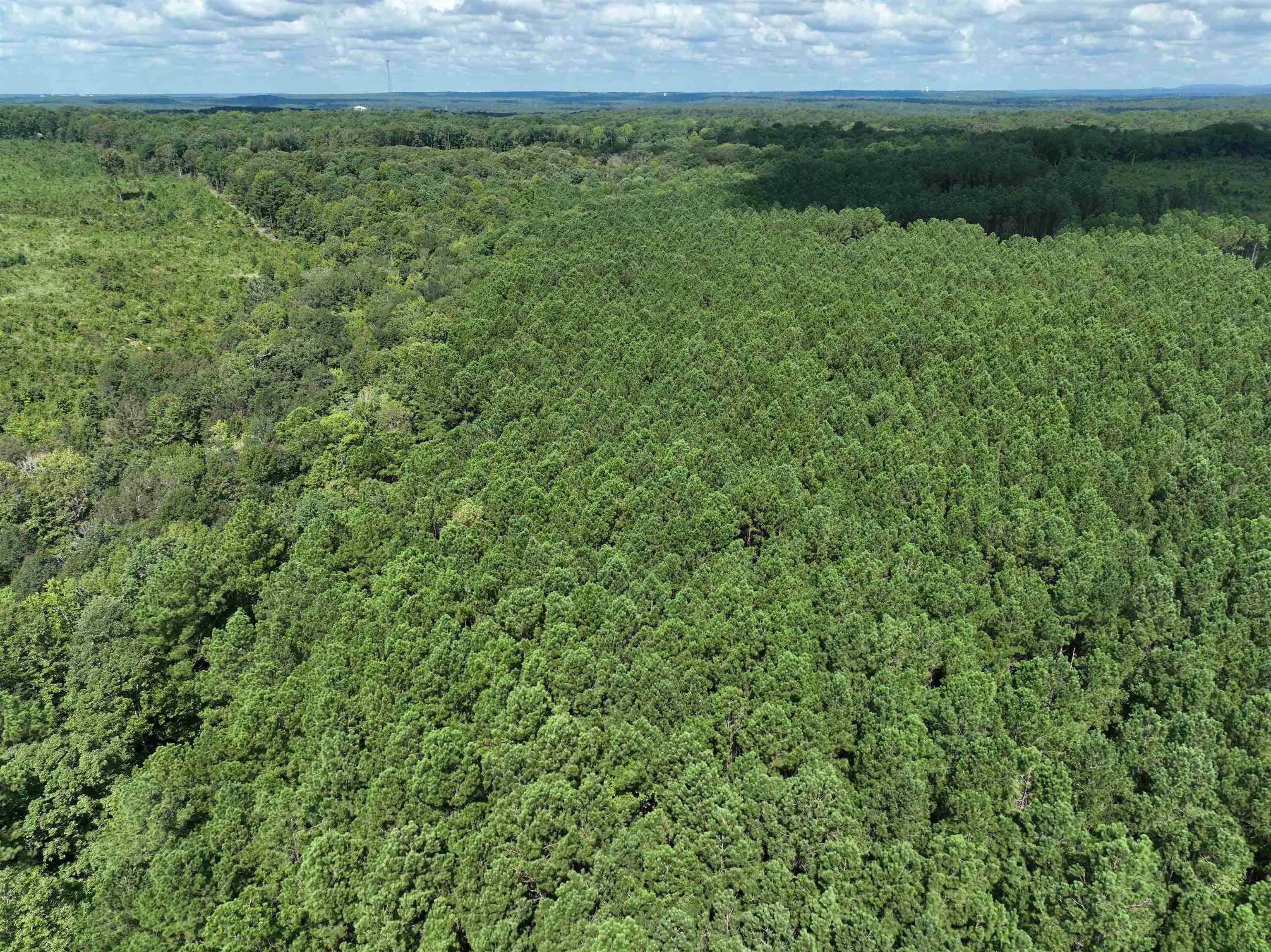 Property at TBD  Mountain pine  Tract 37 - Image 14