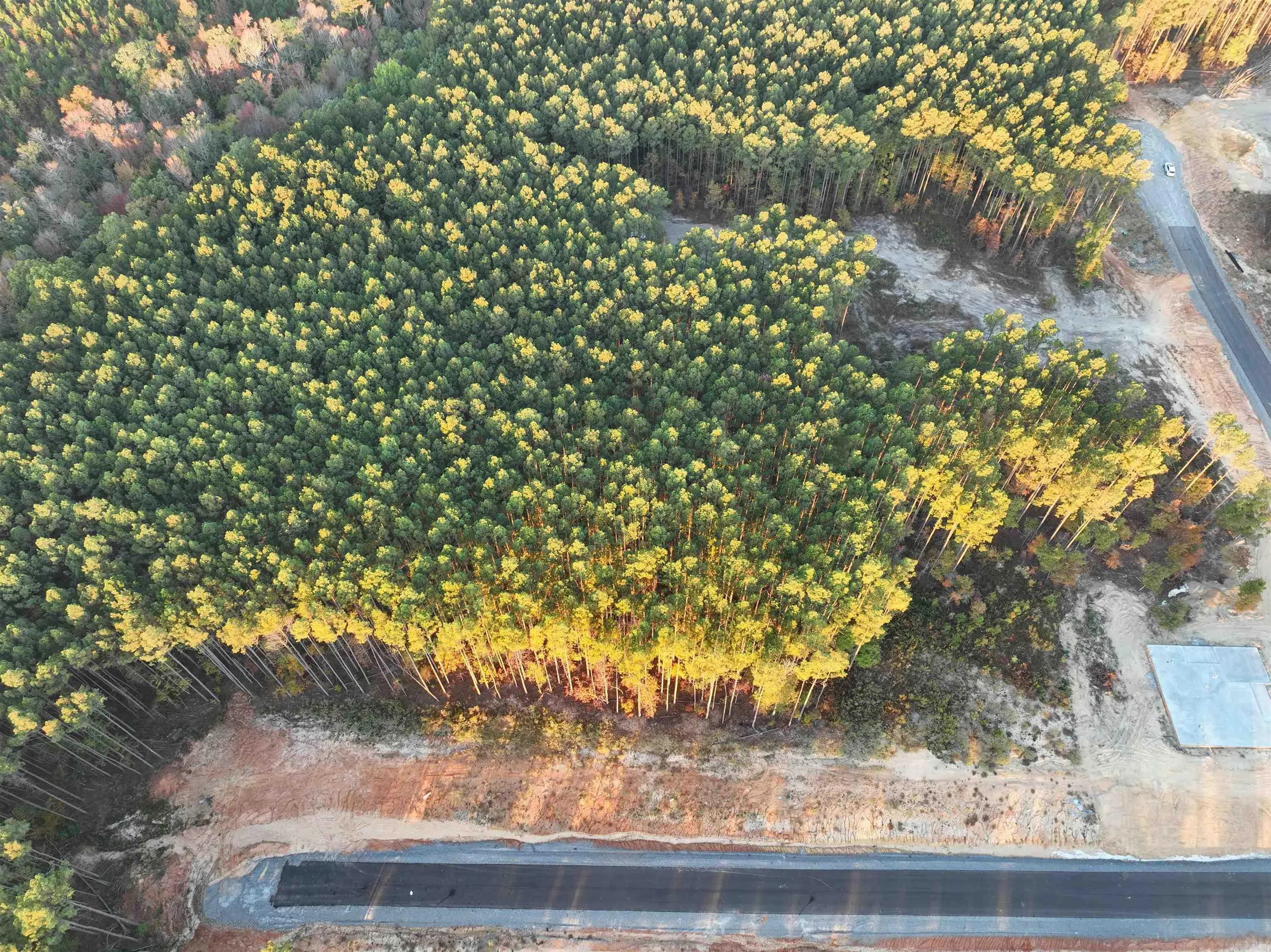 Property at TBD  Mountain pine  Tract 47 - Image 12