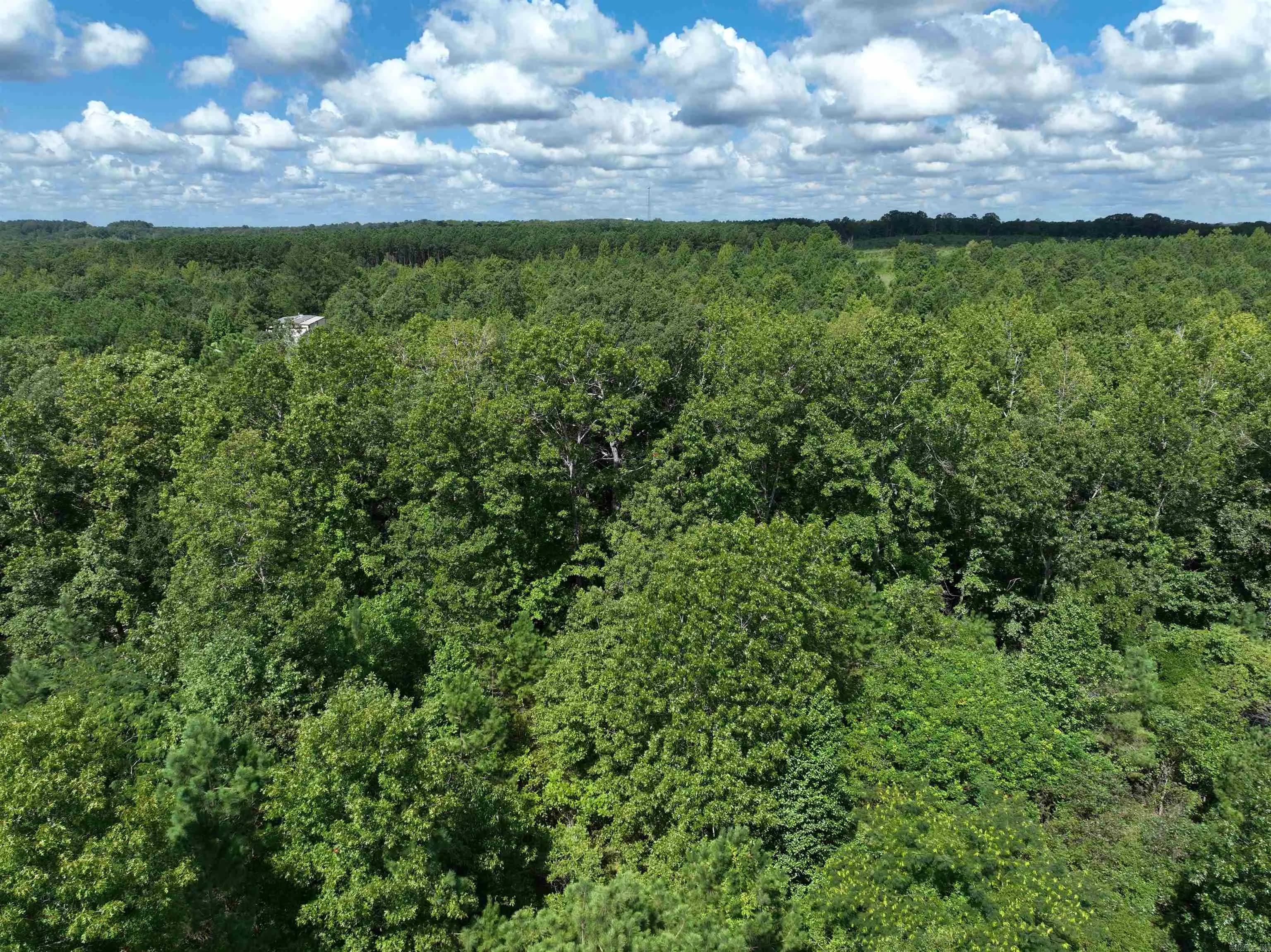 Property at 262  Mountain pine  Lot 39 - Image 19