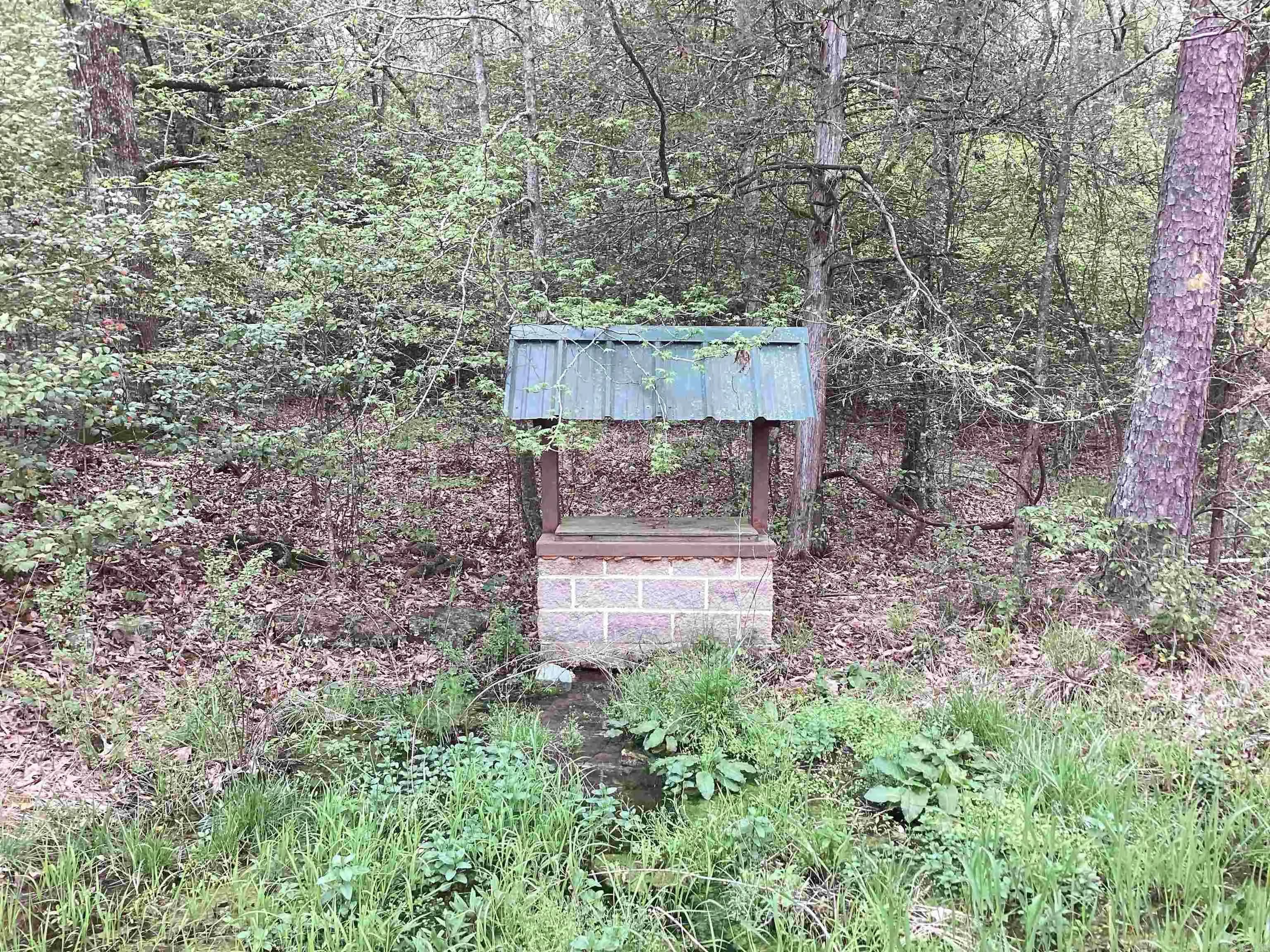 Property at 1966  Polk road 4 - Image 49