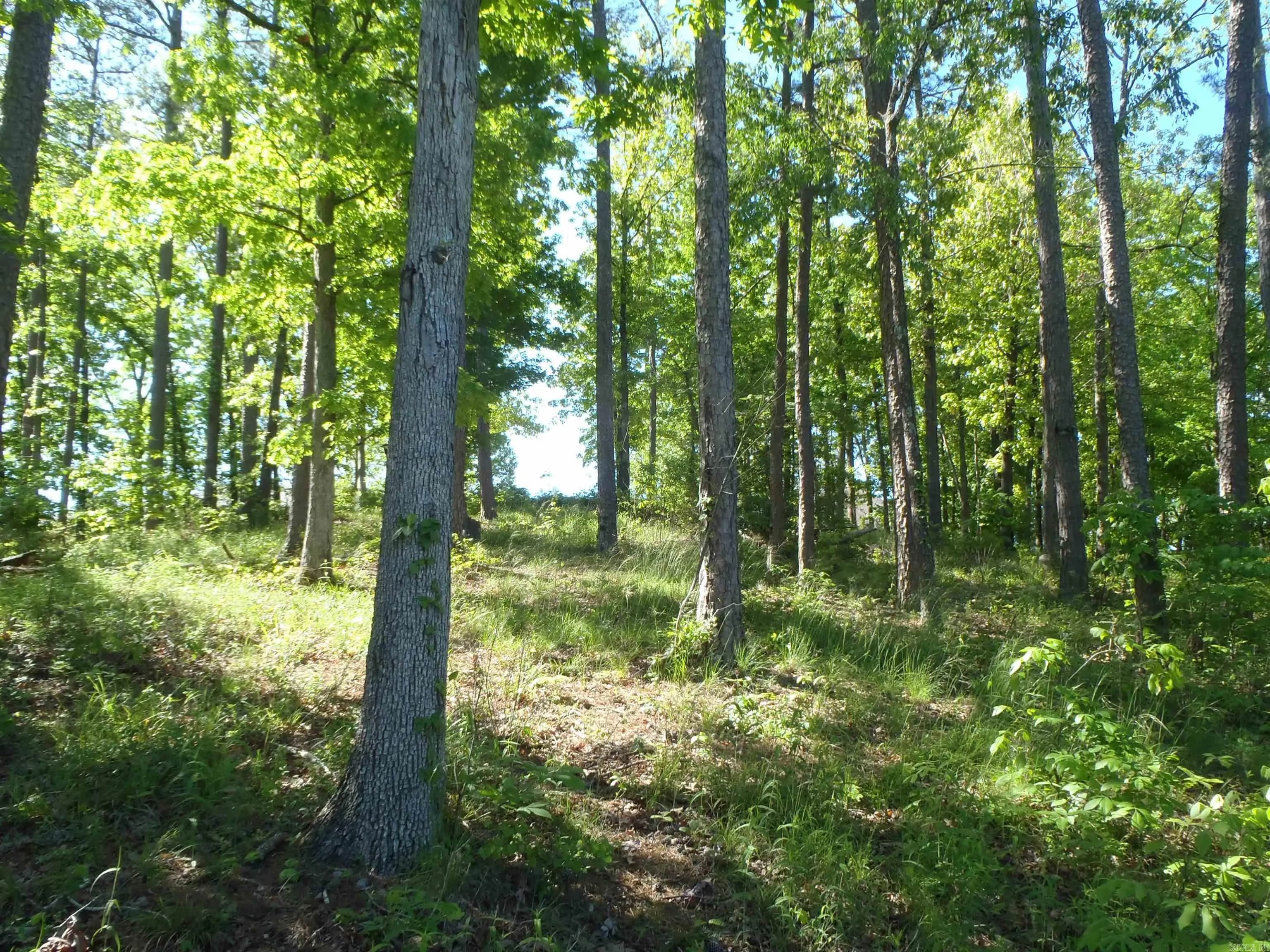 Property at Lot 67  Osprey - Image 16