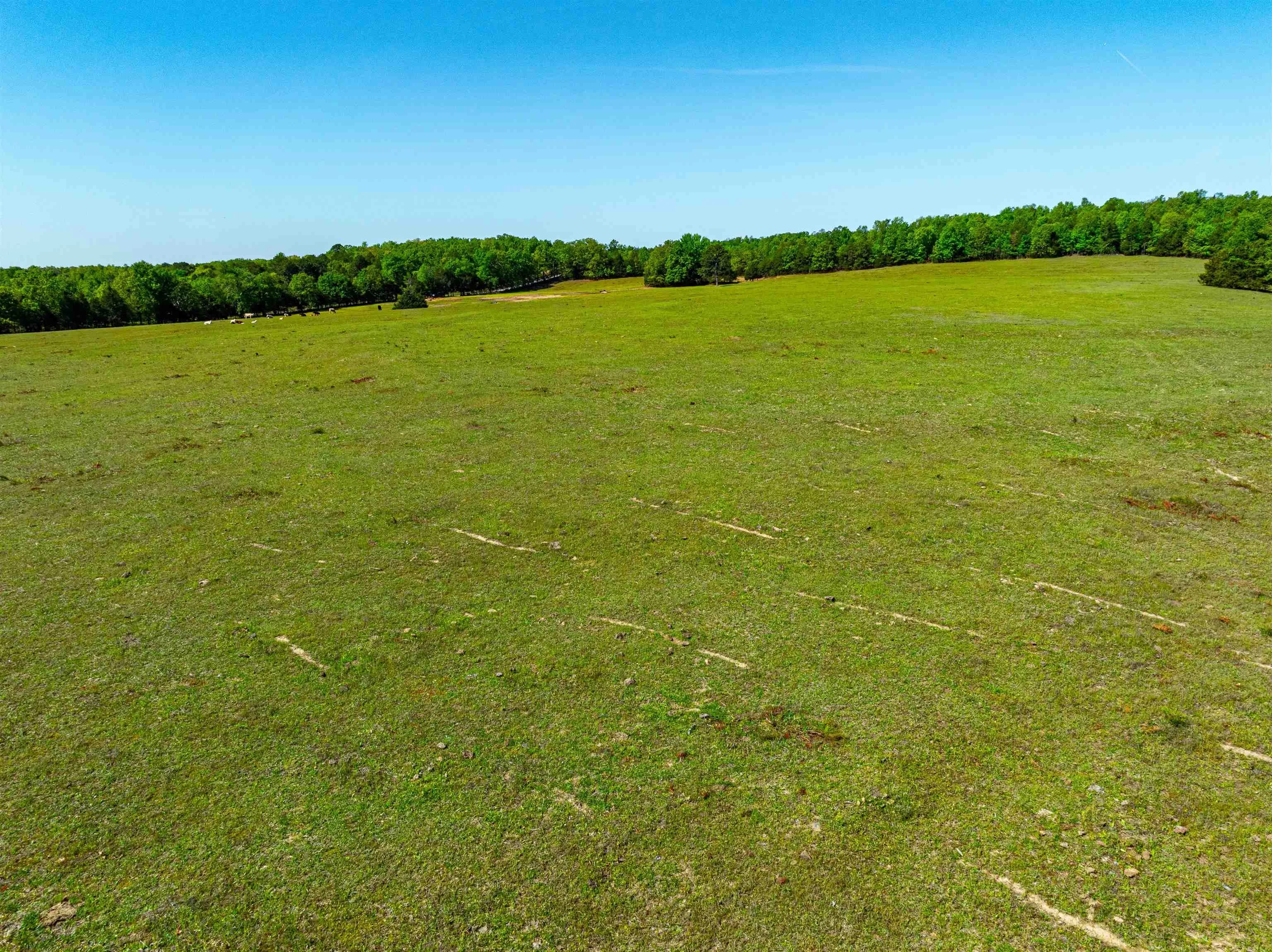 Property at 0  Lankford cir - Image 7