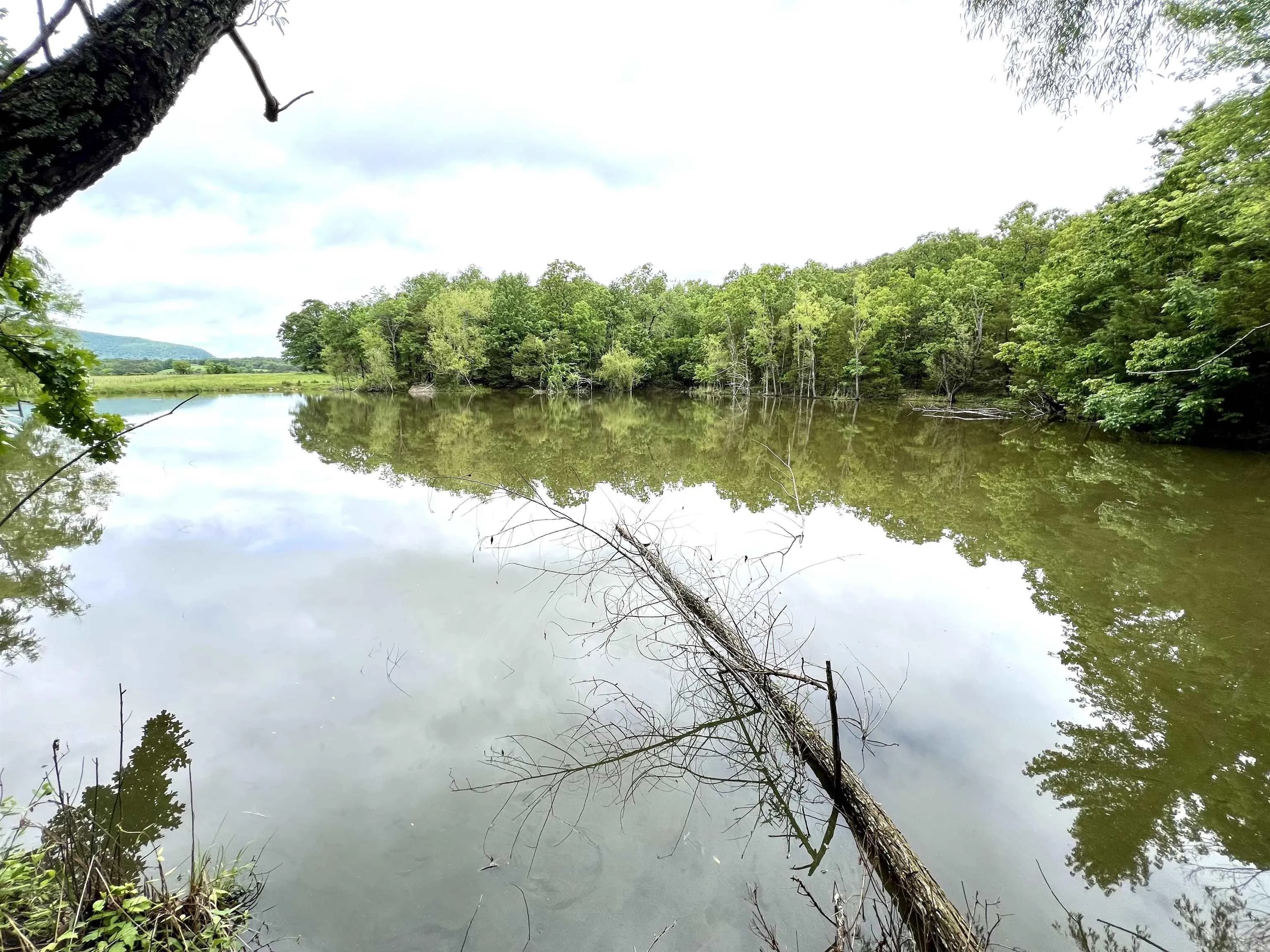 Property at 1523  Cajun creek rd. - Image 32