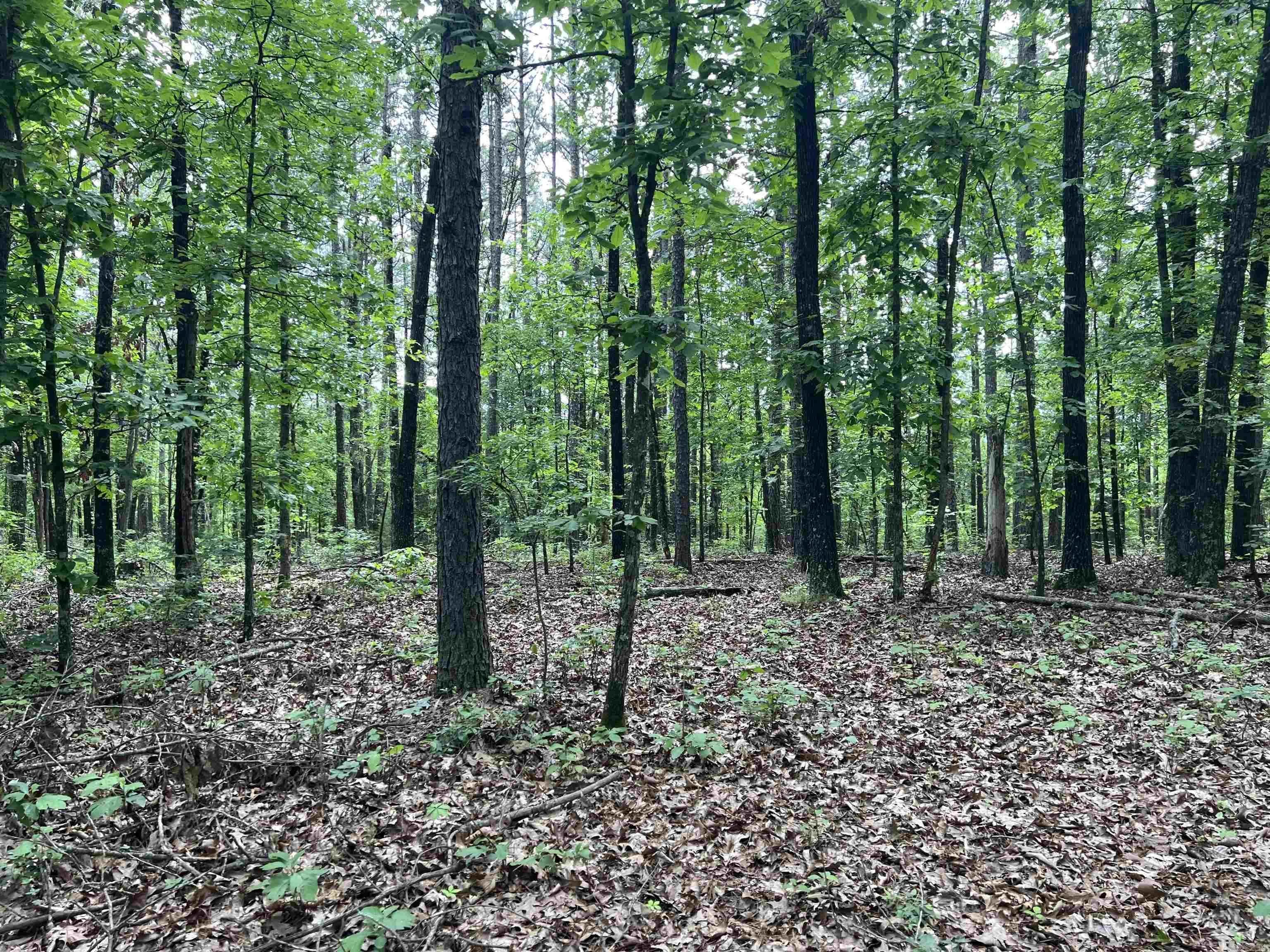 Property at 8.72 acres on meadow creek - Image 4
