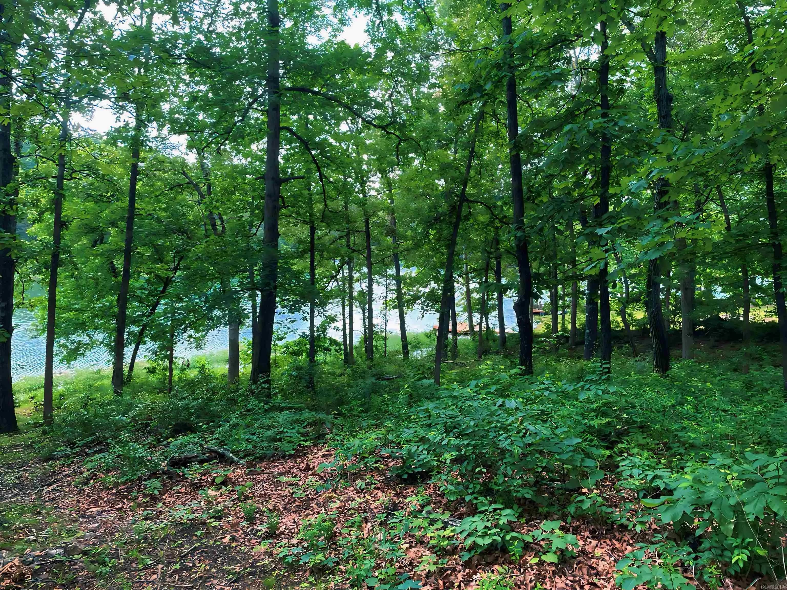 Property at Lot 31  Enid - Image 5