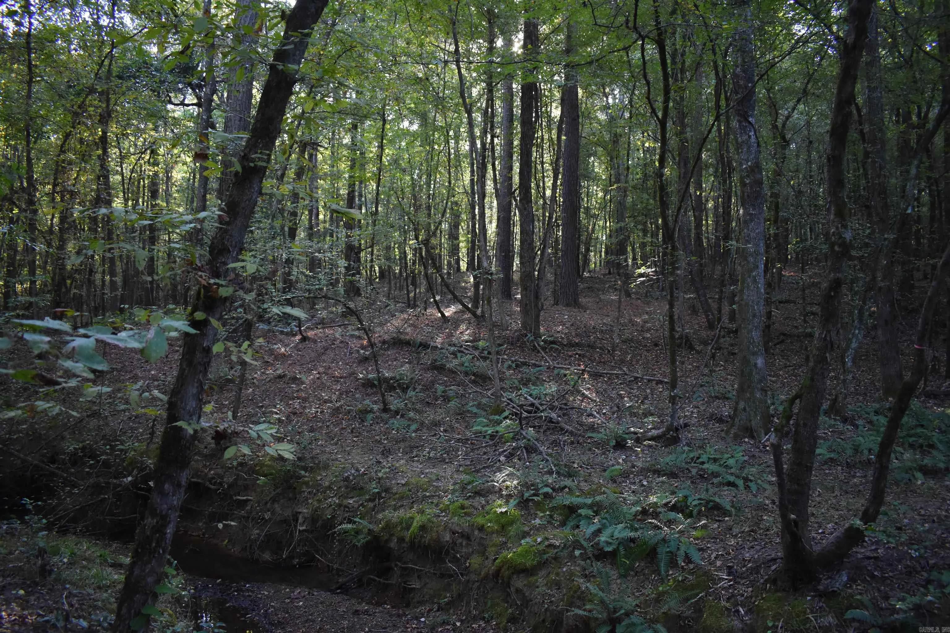 Property at Red springs - Image 19