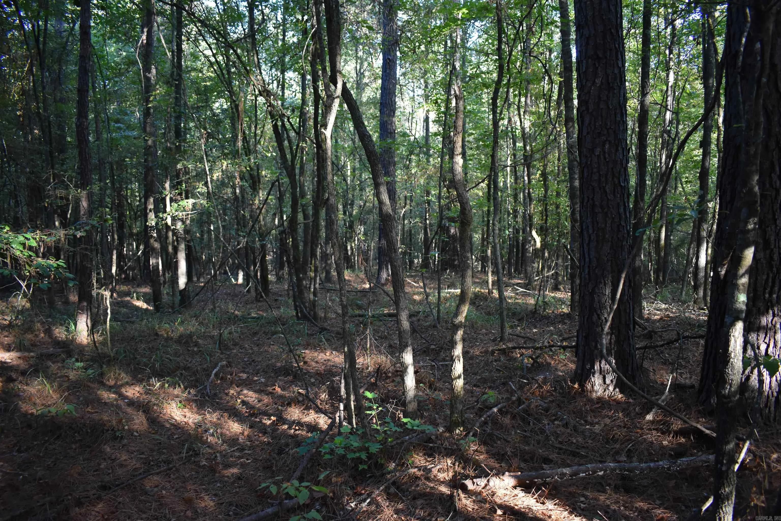 Property at Red springs - Image 27