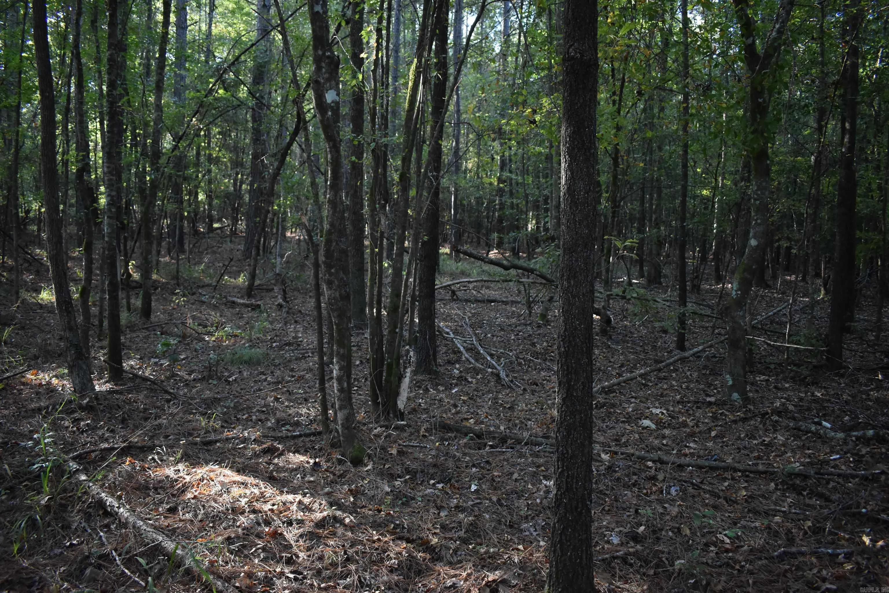 Property at Red springs - Image 25