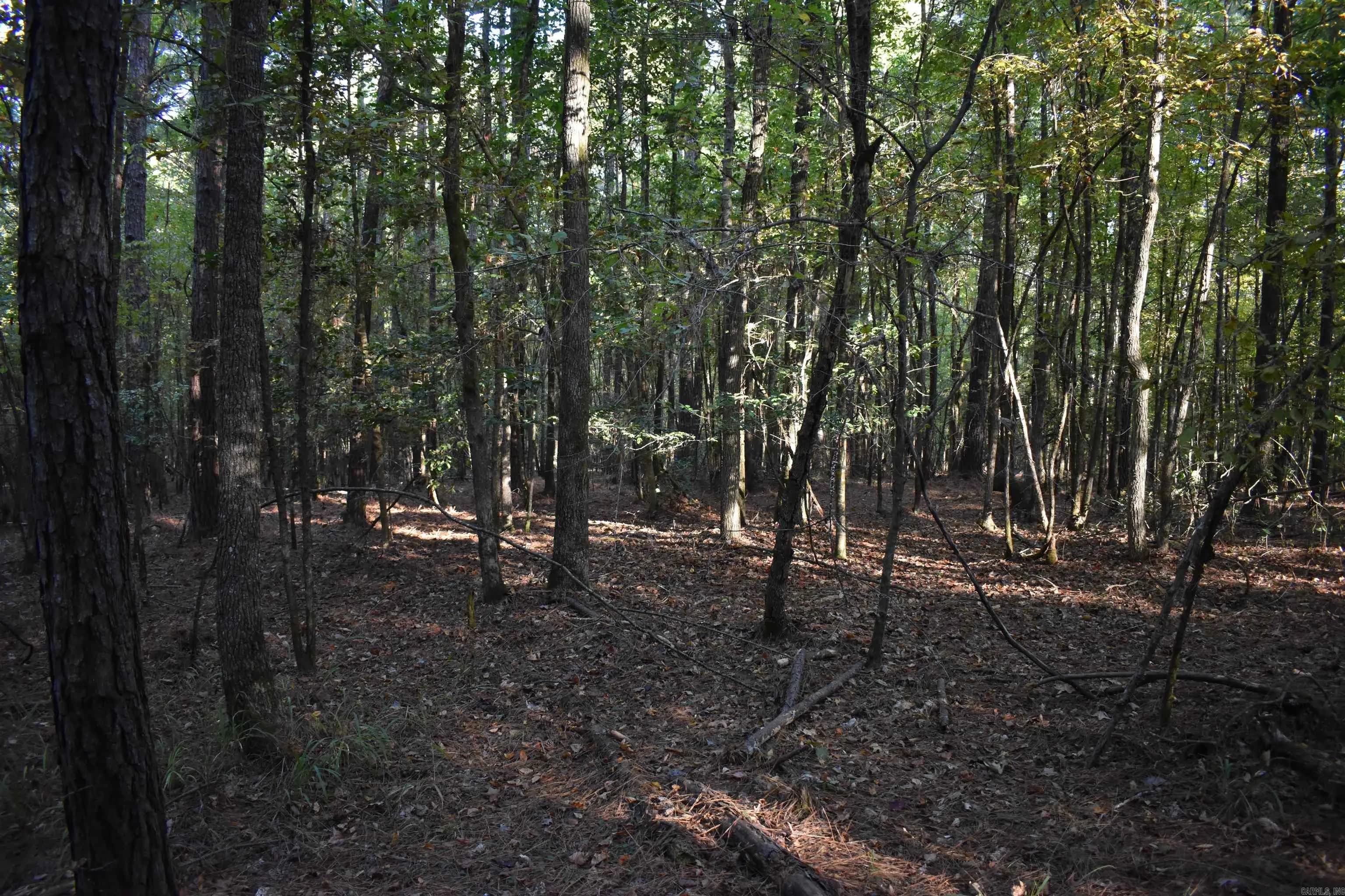 Property at Red springs - Image 39