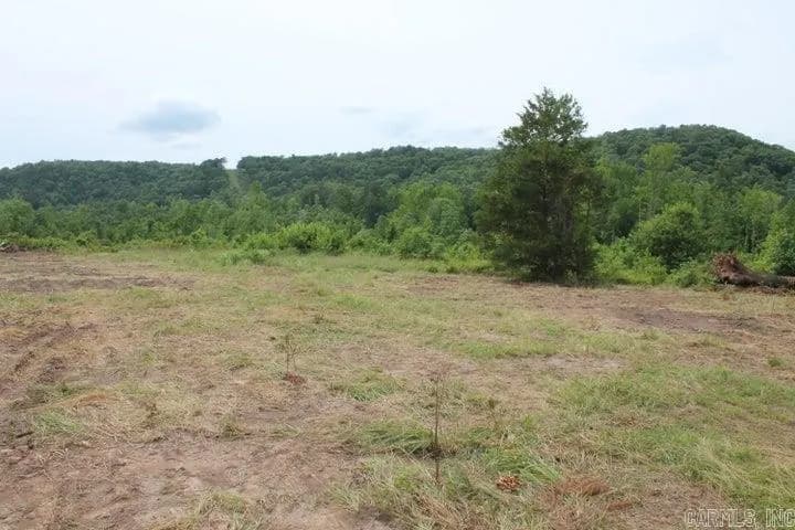 Property at 15035-5045  Hwy 7 n. - Image 4