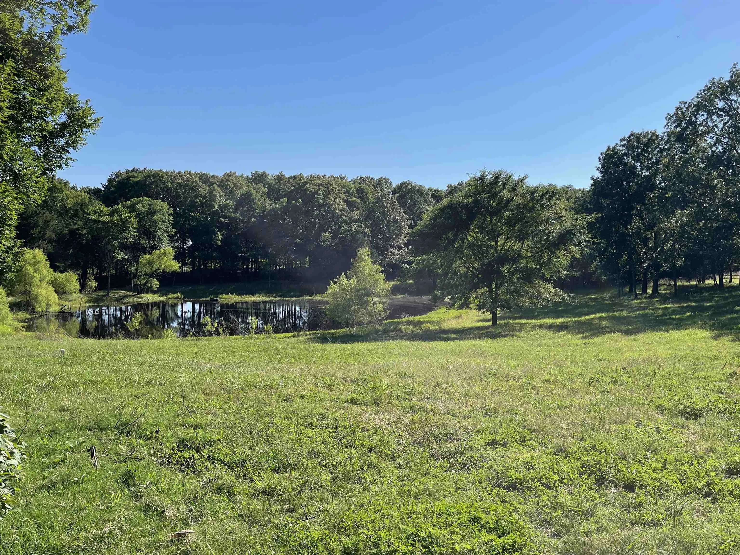 Property at 2007  Hwy 115 - Image 12