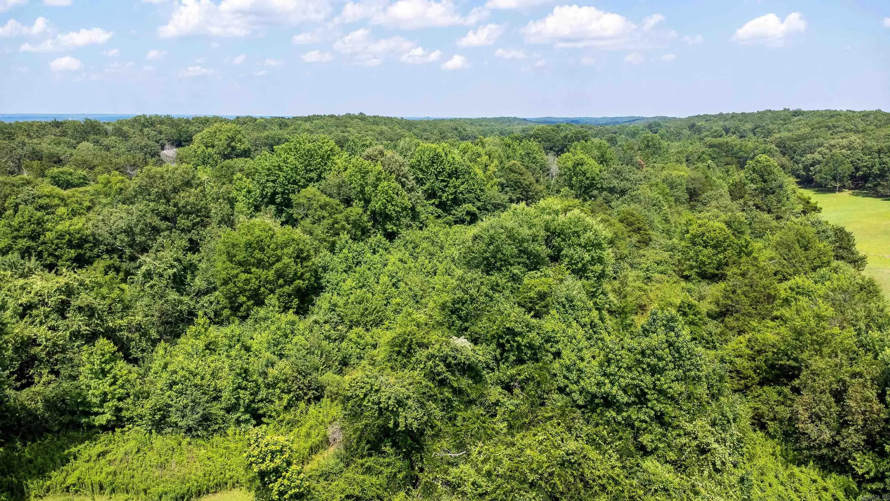 Property at 5002  Batesville pike - Image 16