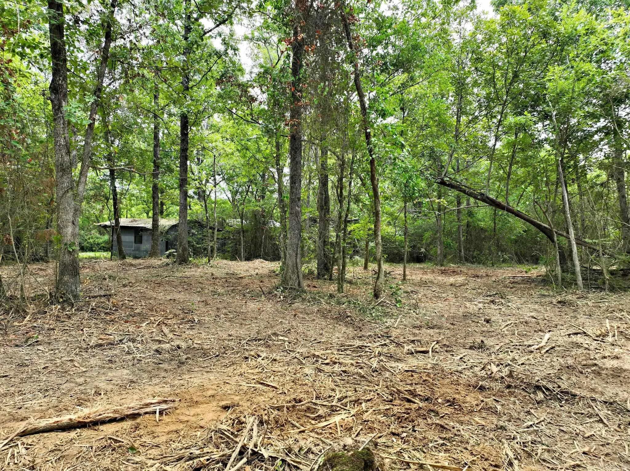 Property at TBD  West boundary - Image 11