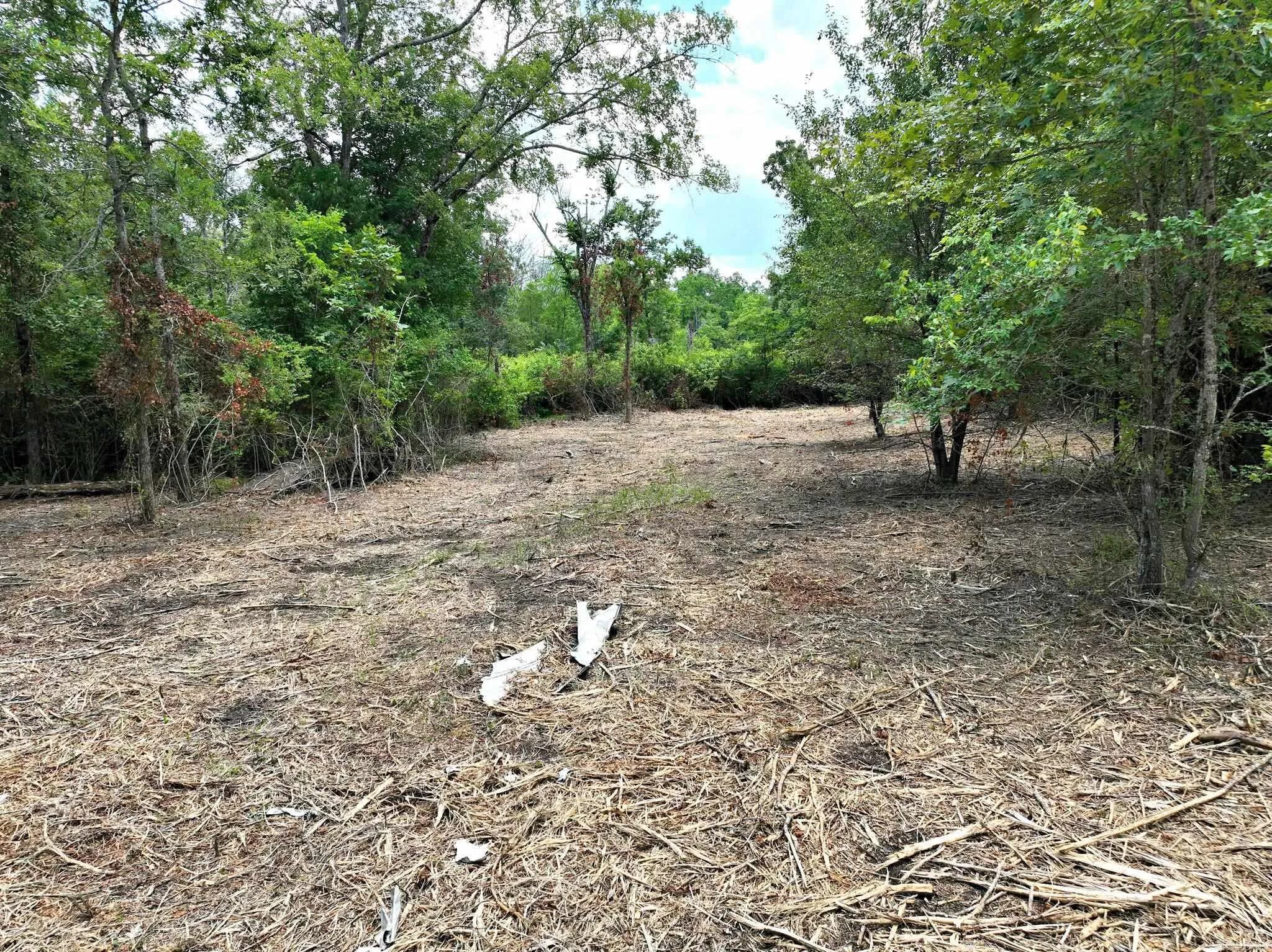 Property at TBD  West boundary - Image 24