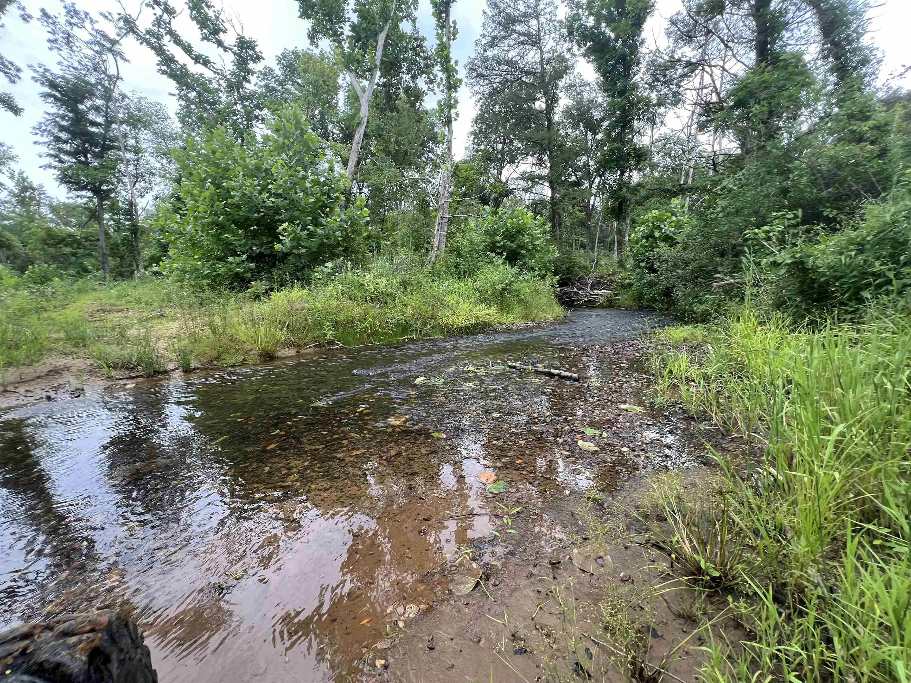 Property at 1350  Hwy 115 - Image 13