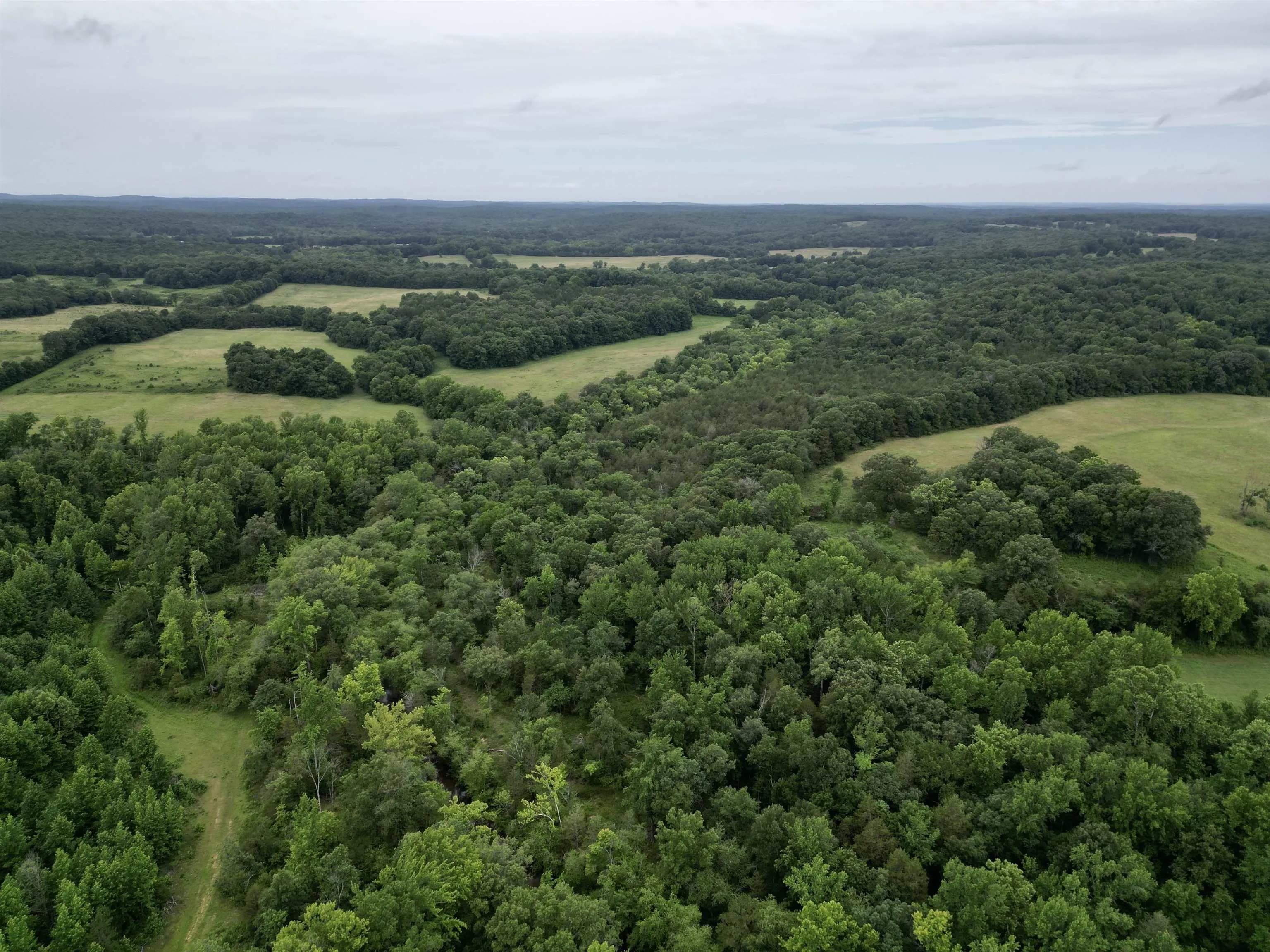 Property at 1350  Hwy 115 - Image 10