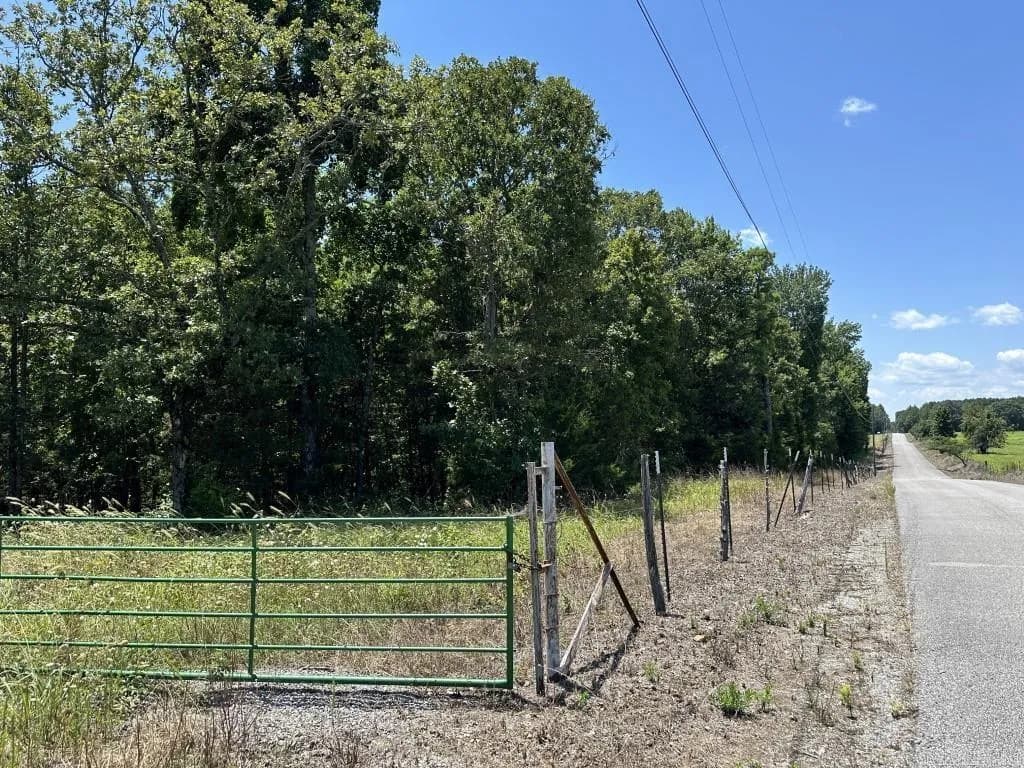 Property at 255  Humphrey - Image 64