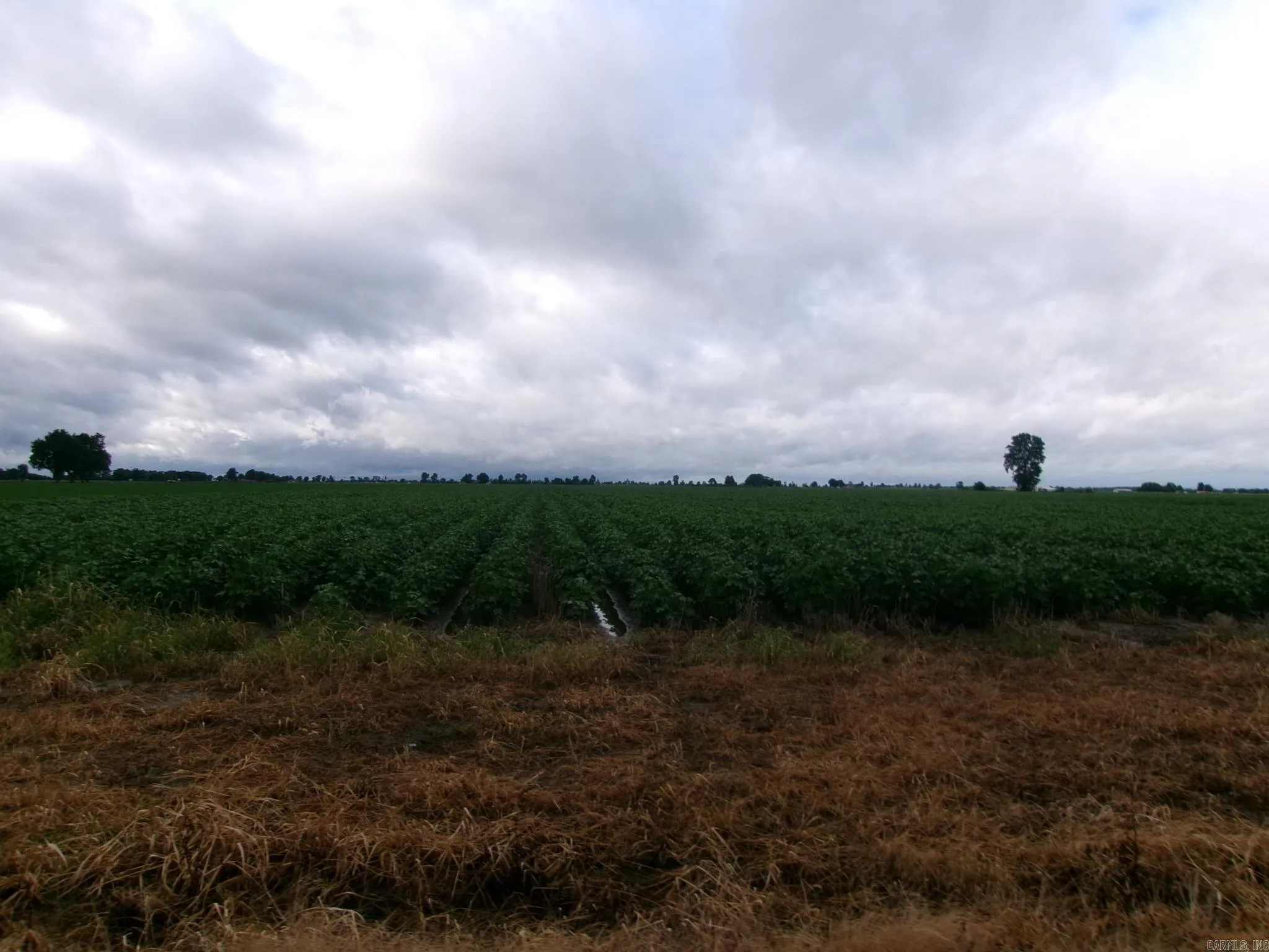 Property at 873  County road 562