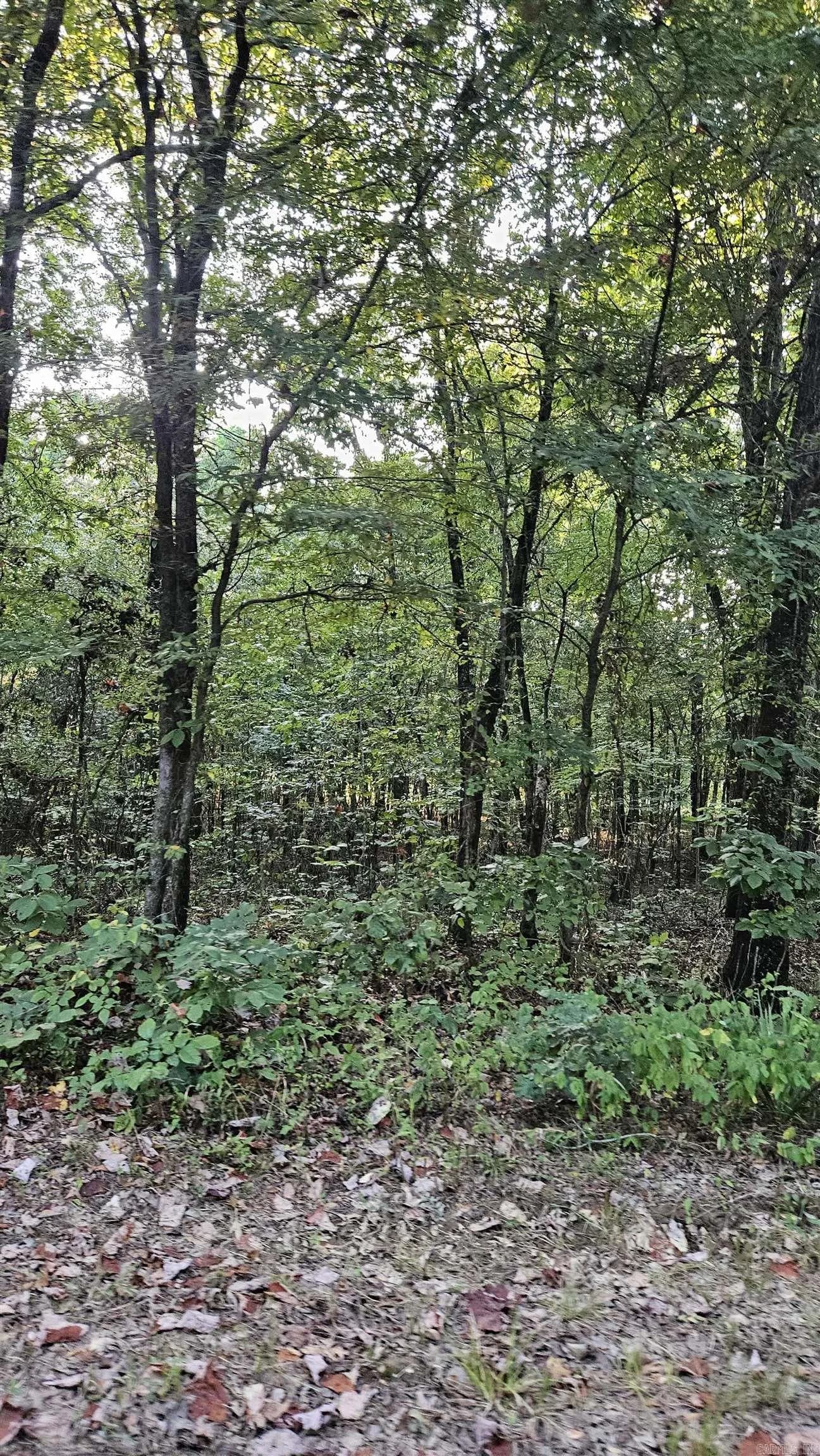 Property at 33  Cr 423 - Image 3