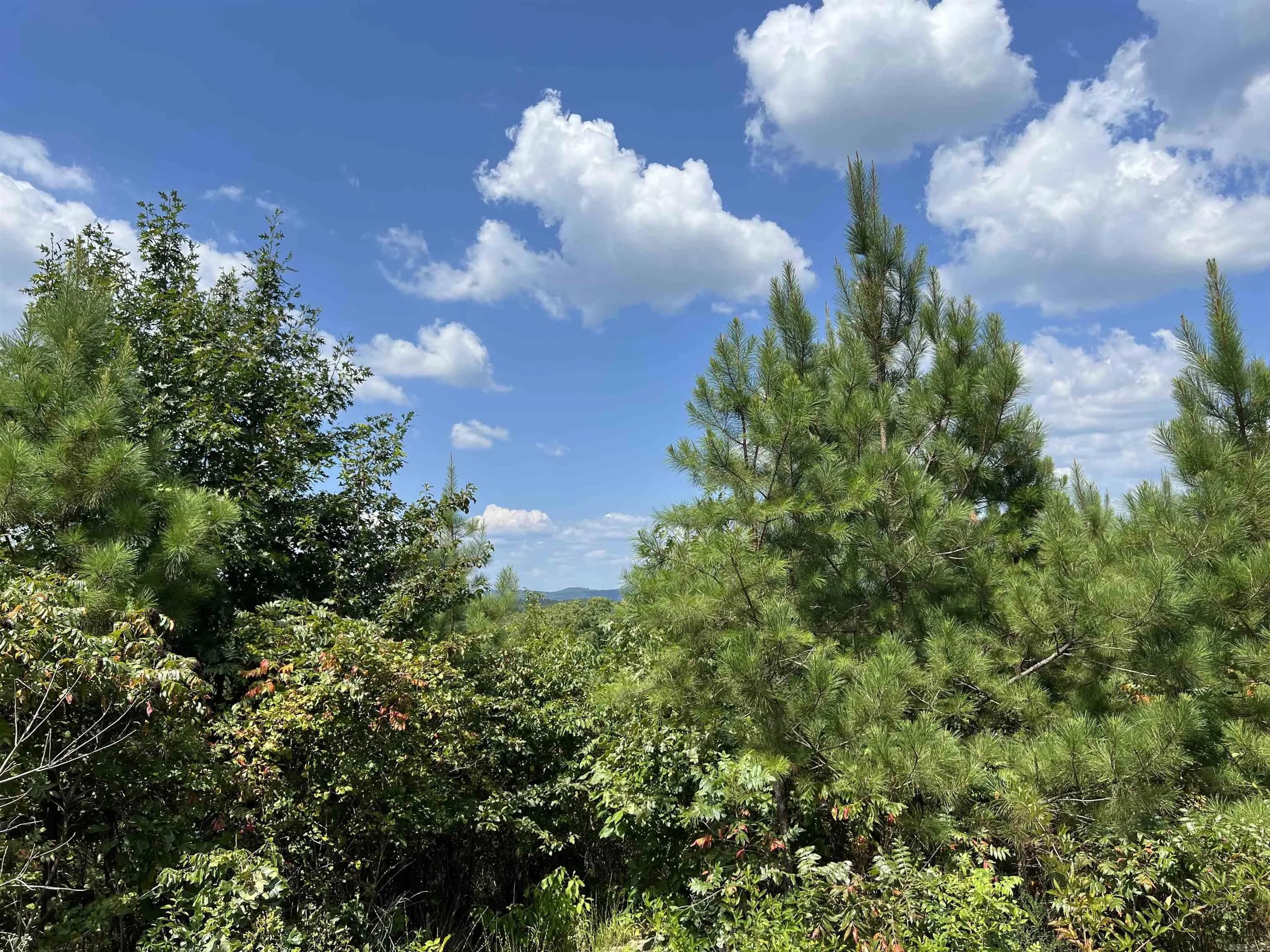 Property at TBD E Old bonnerdale - Image 5