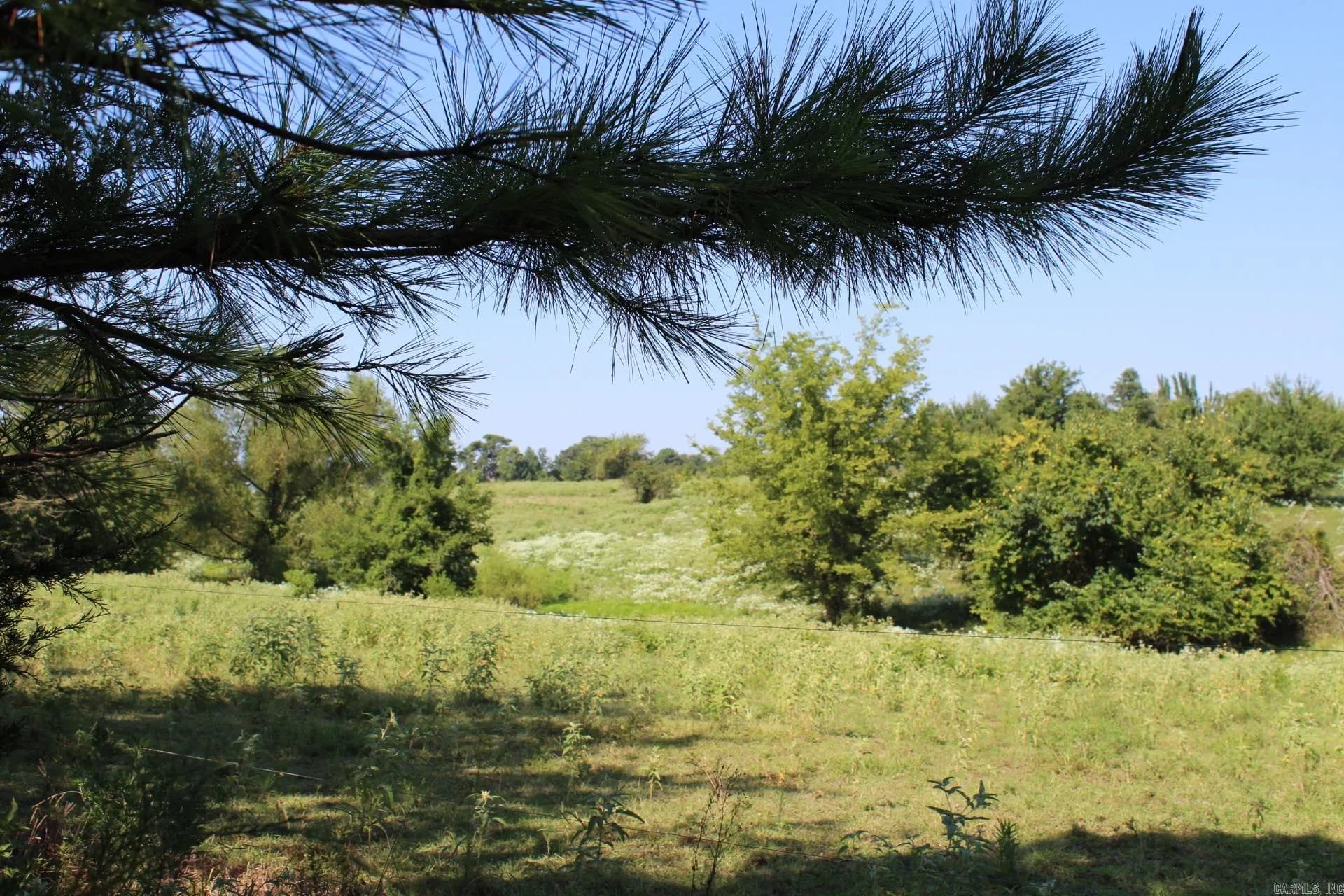 Property at Hwy. 278 west - Image 5