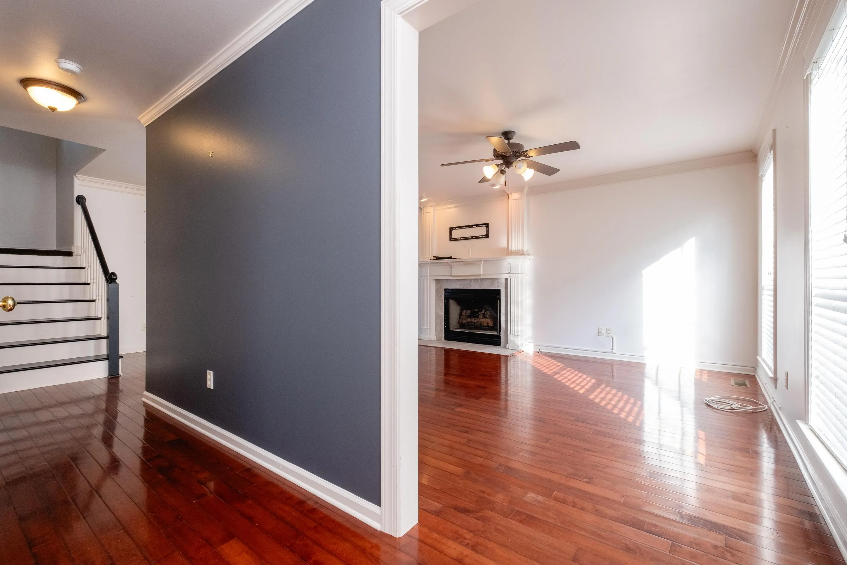 Property at 102  Charleston - Image 4