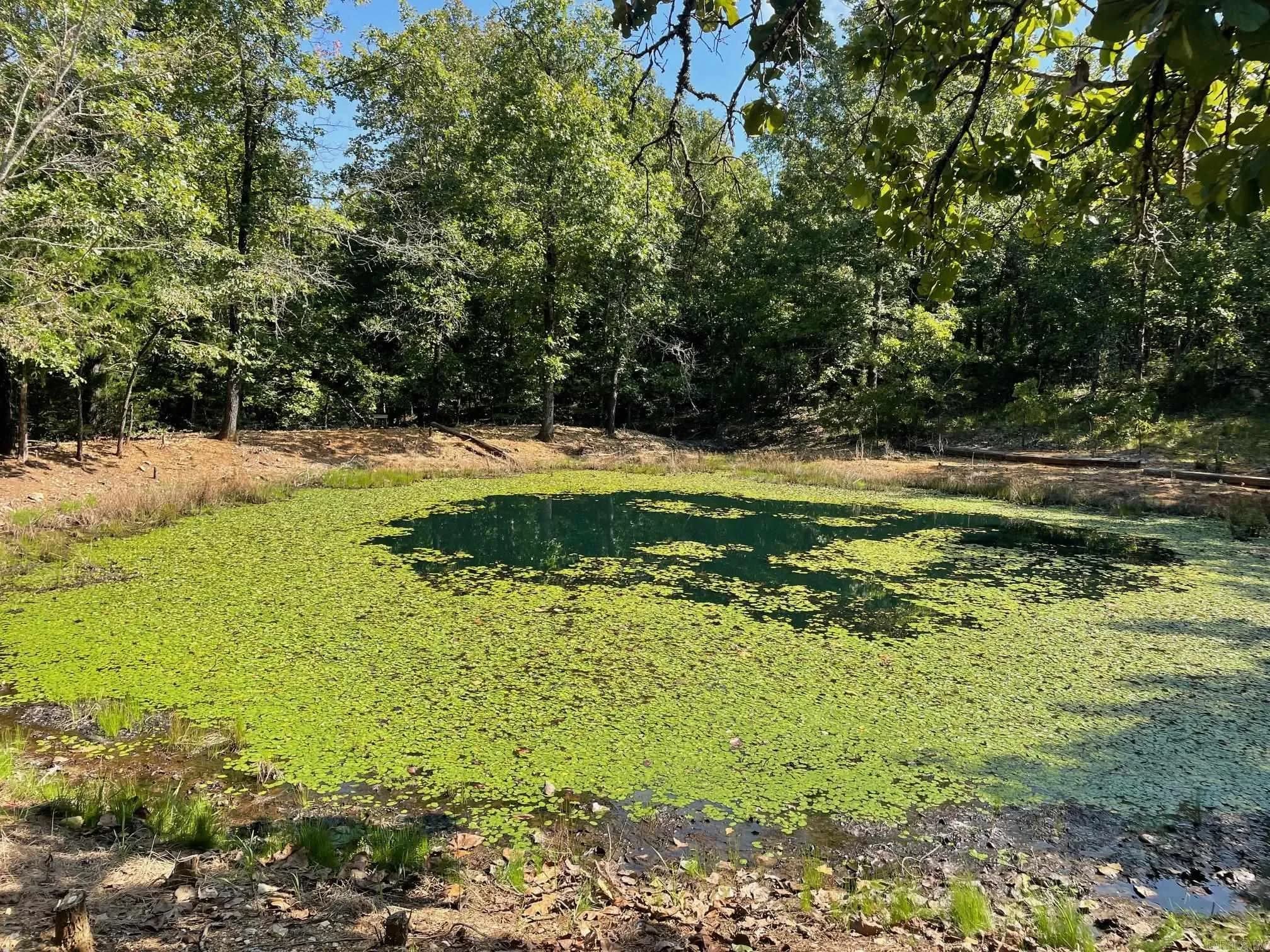 Property at 768  Rocky hill trail - Image 9