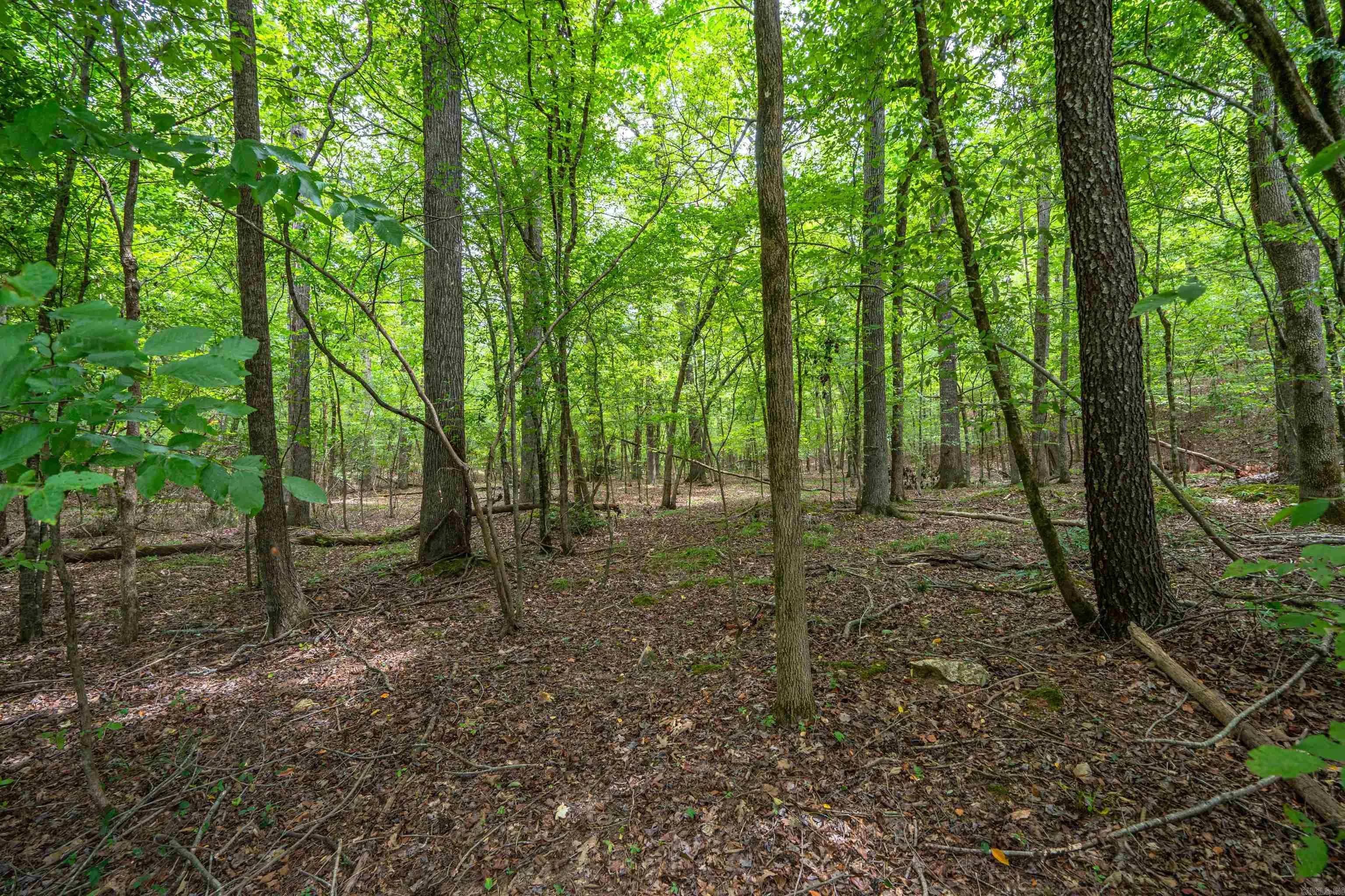 Property at Lot 29  Deer run - Image 4