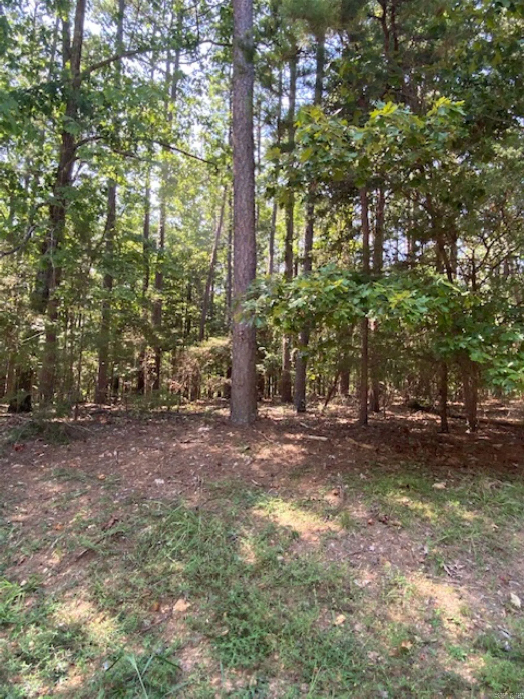 Property at 335  Grand isle dr - Image 3
