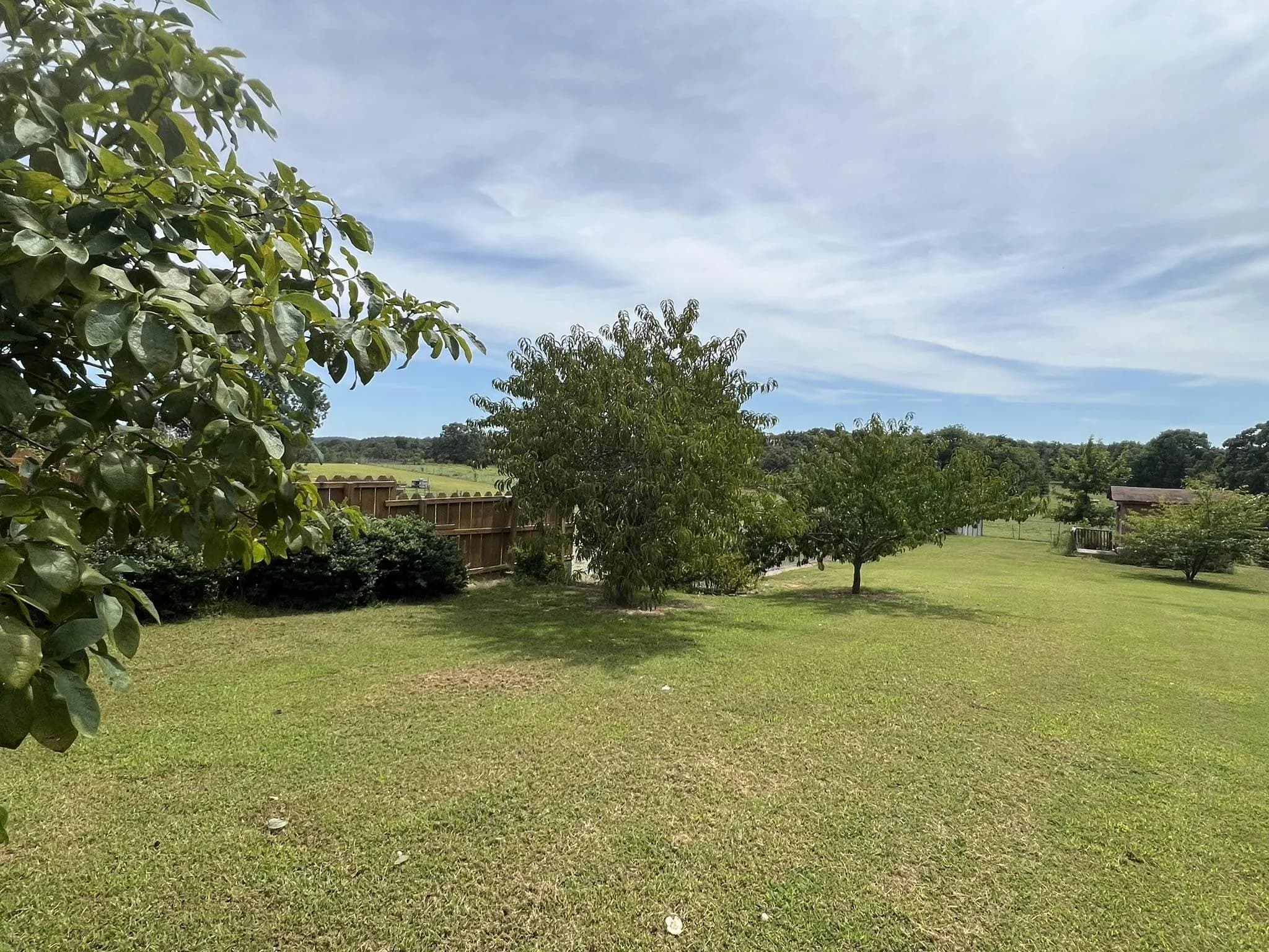 Property at 1372  Bonetown - Image 52