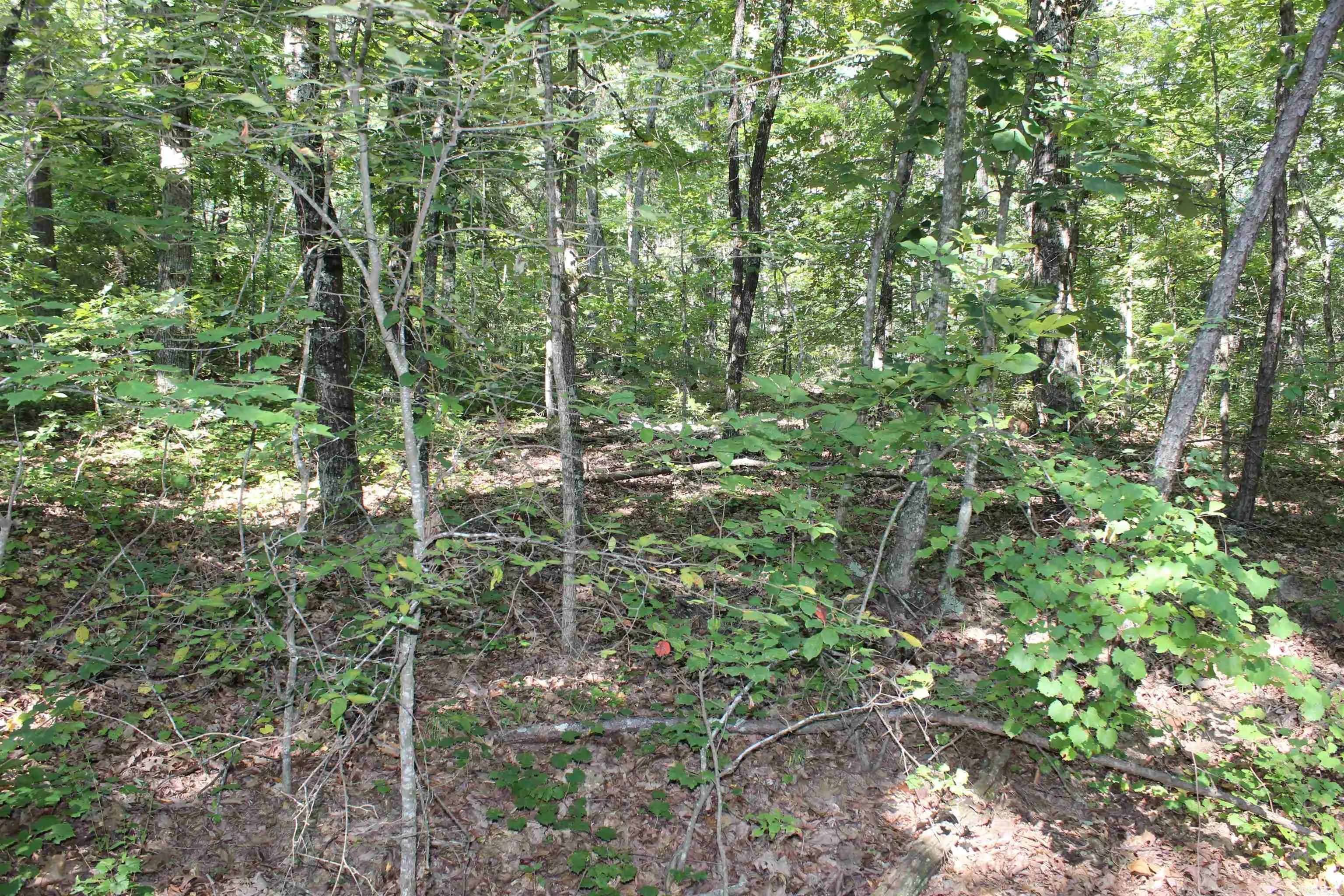 Property at 0  6 ridge road - Image 8