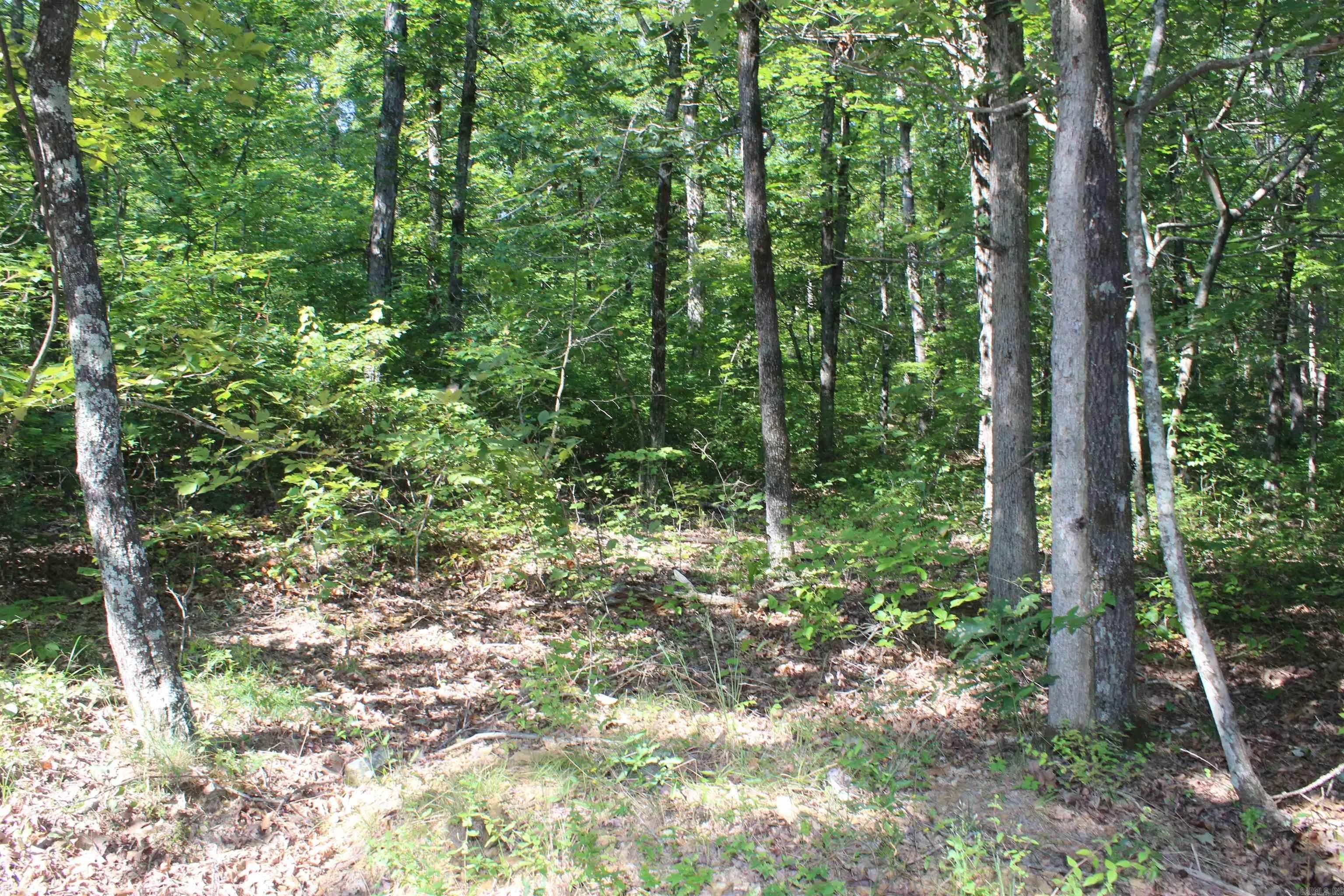 Property at 0  6 ridge road - Image 1