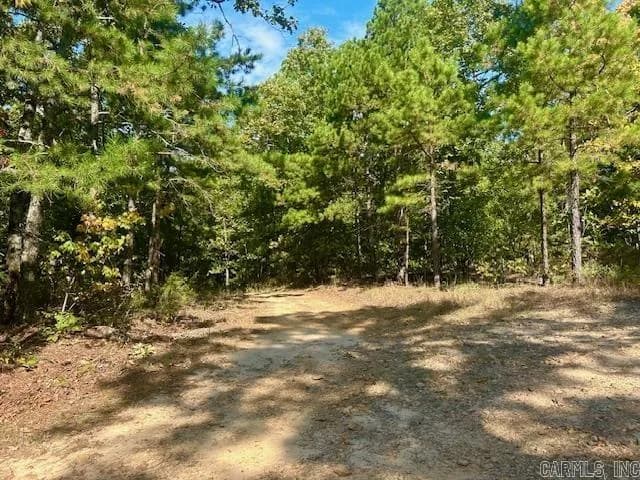 Property at 825  Piney - Image 4