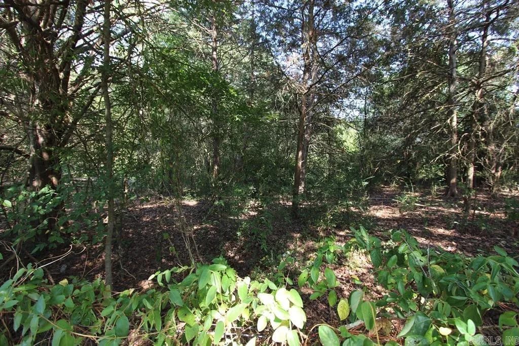 Property at 10  Fox hill - Image 3