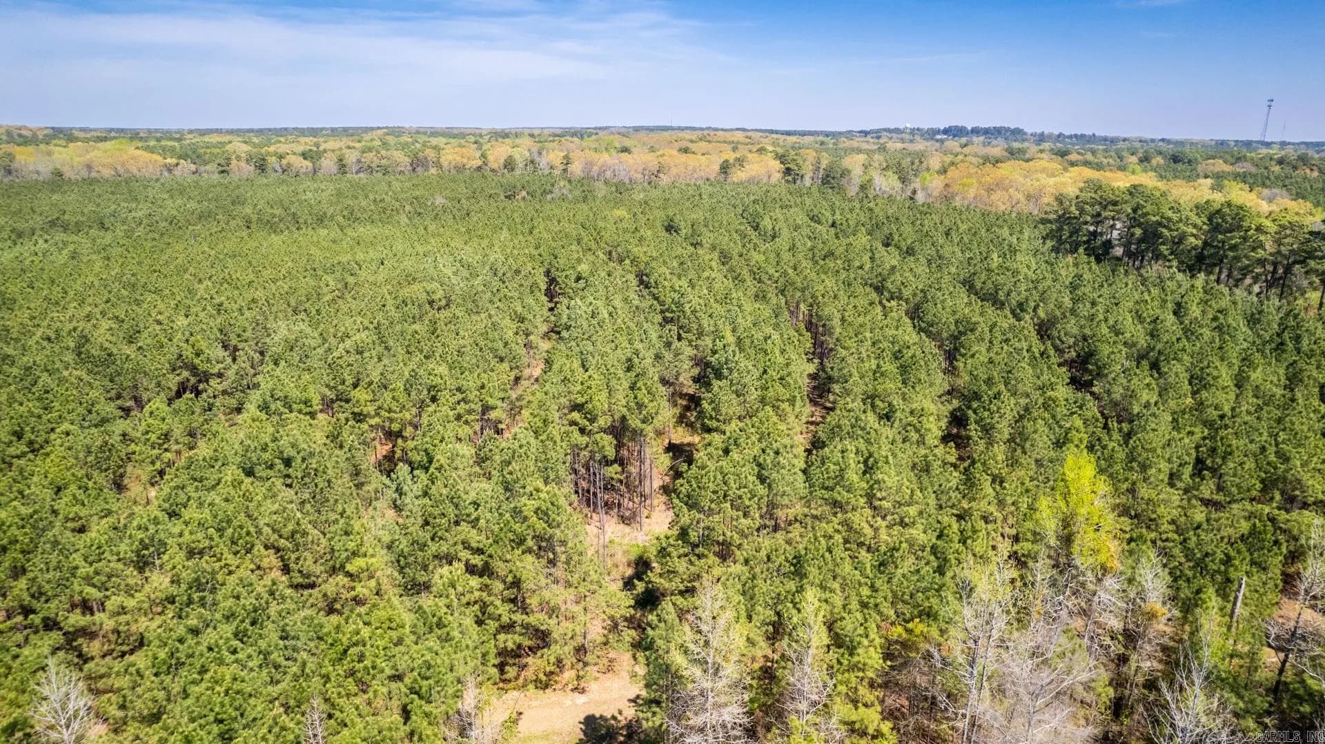 Property at Highway 278 - Image 19