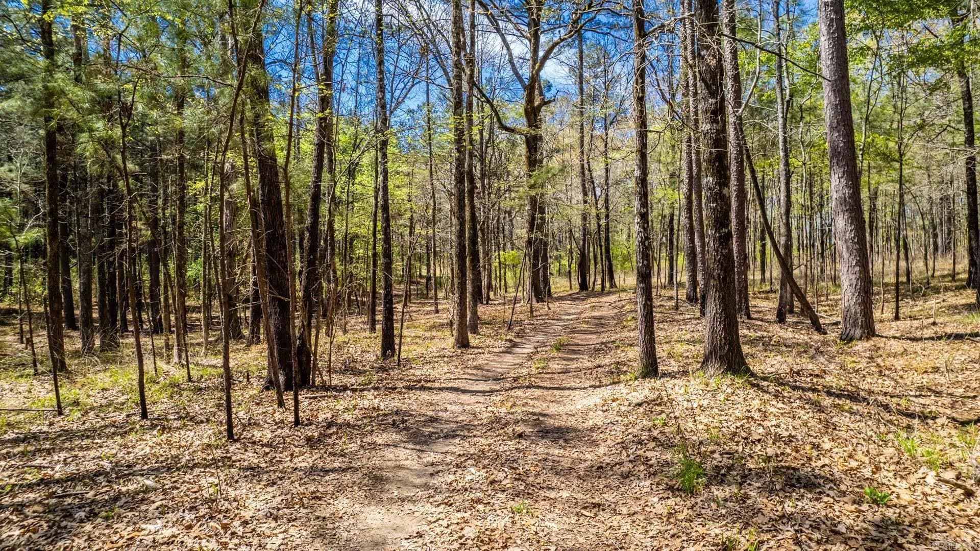 Property at Highway 278 - Image 1