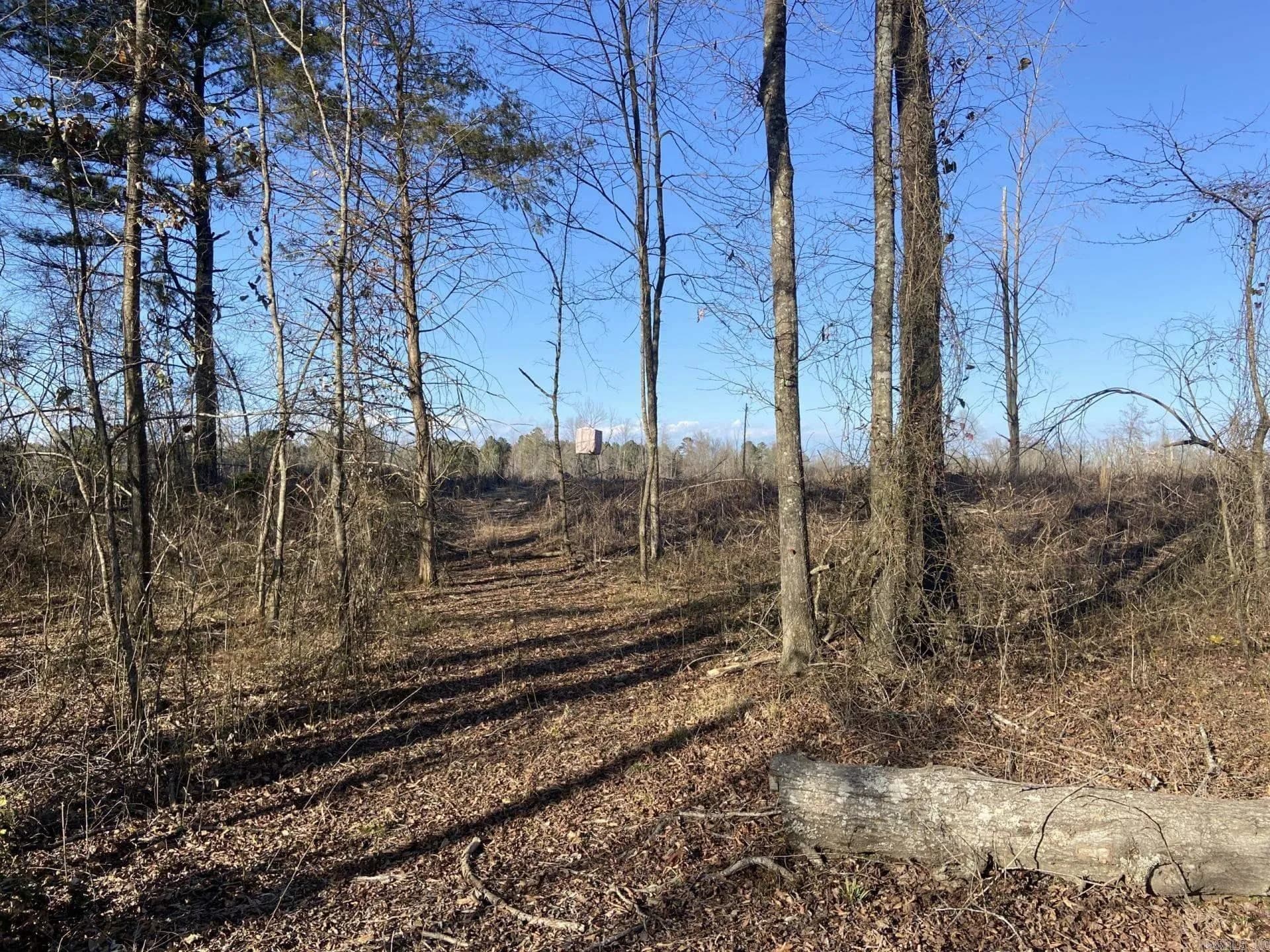 Property at Ozan c - Image 3