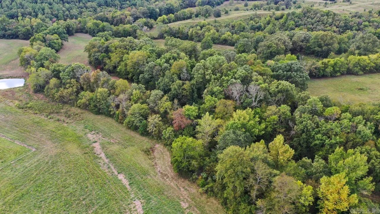 Property at 74  Lawdy - Image 35