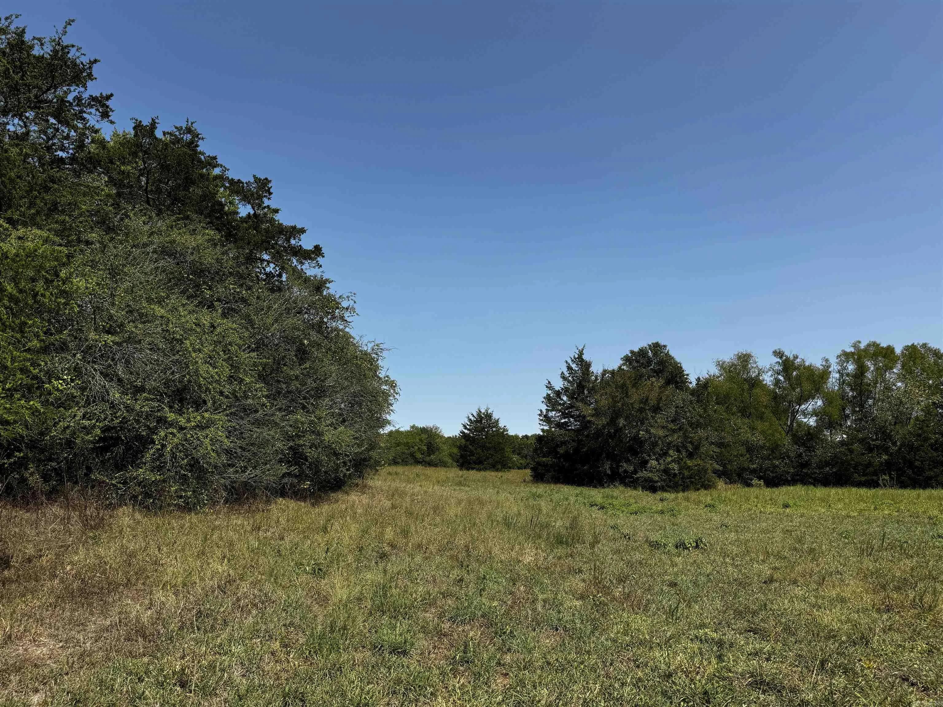 Property at TBD W Hwy 88 - Image 10