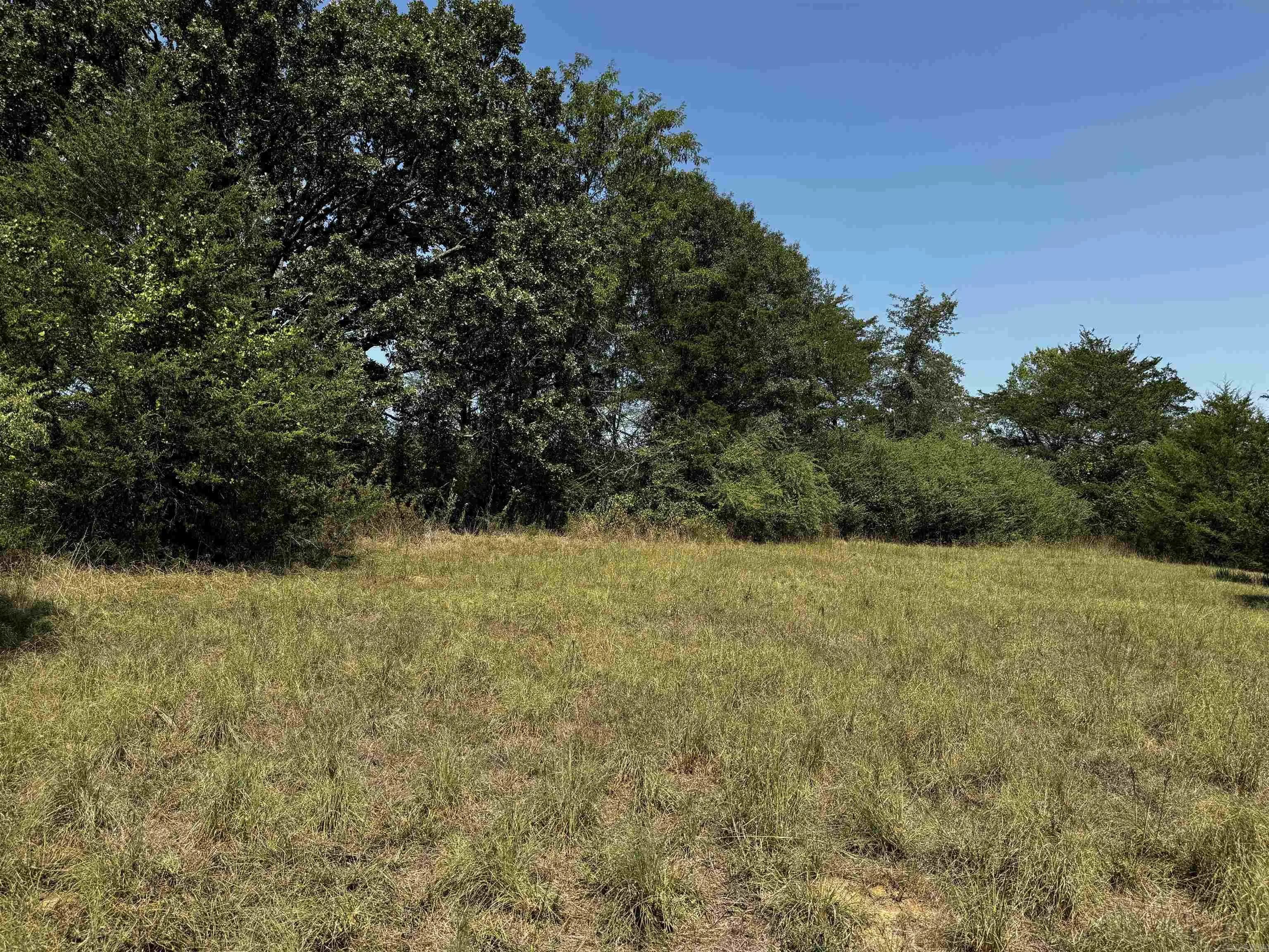 Property at TBD W Hwy 88 - Image 8