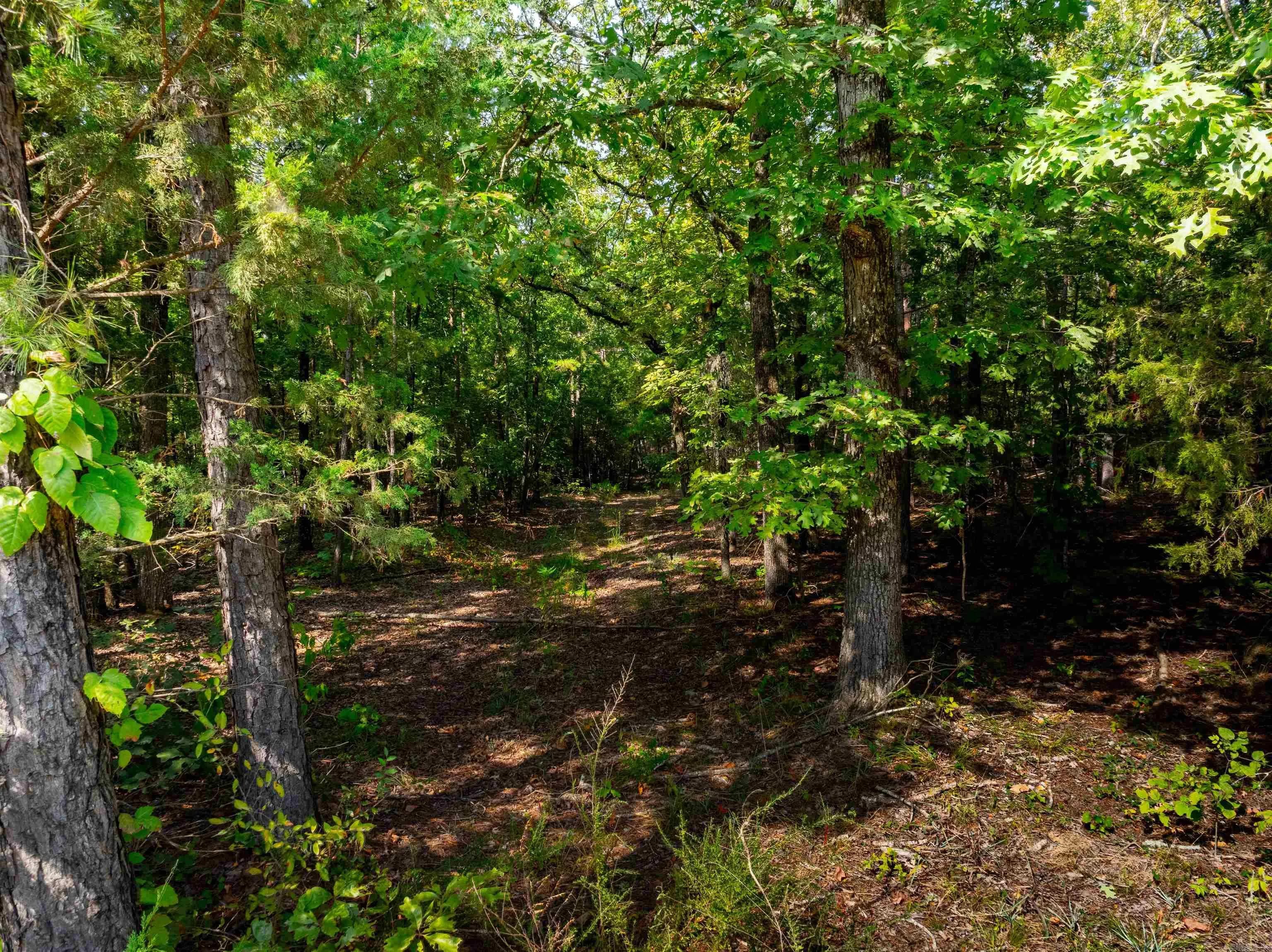 Property at 20  Kachina drive - Image 31