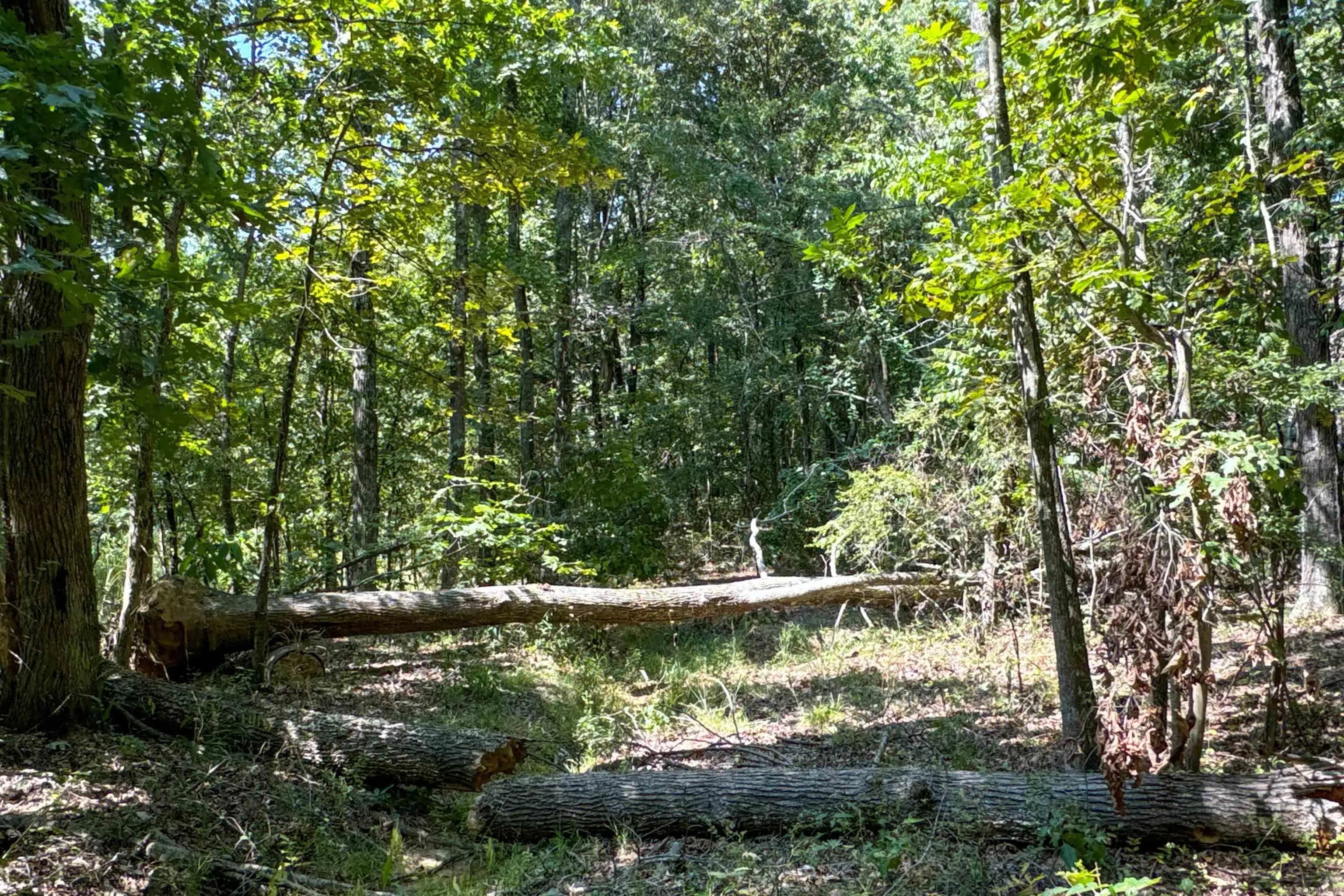 Property at Clay county rd. 408 - Image 45