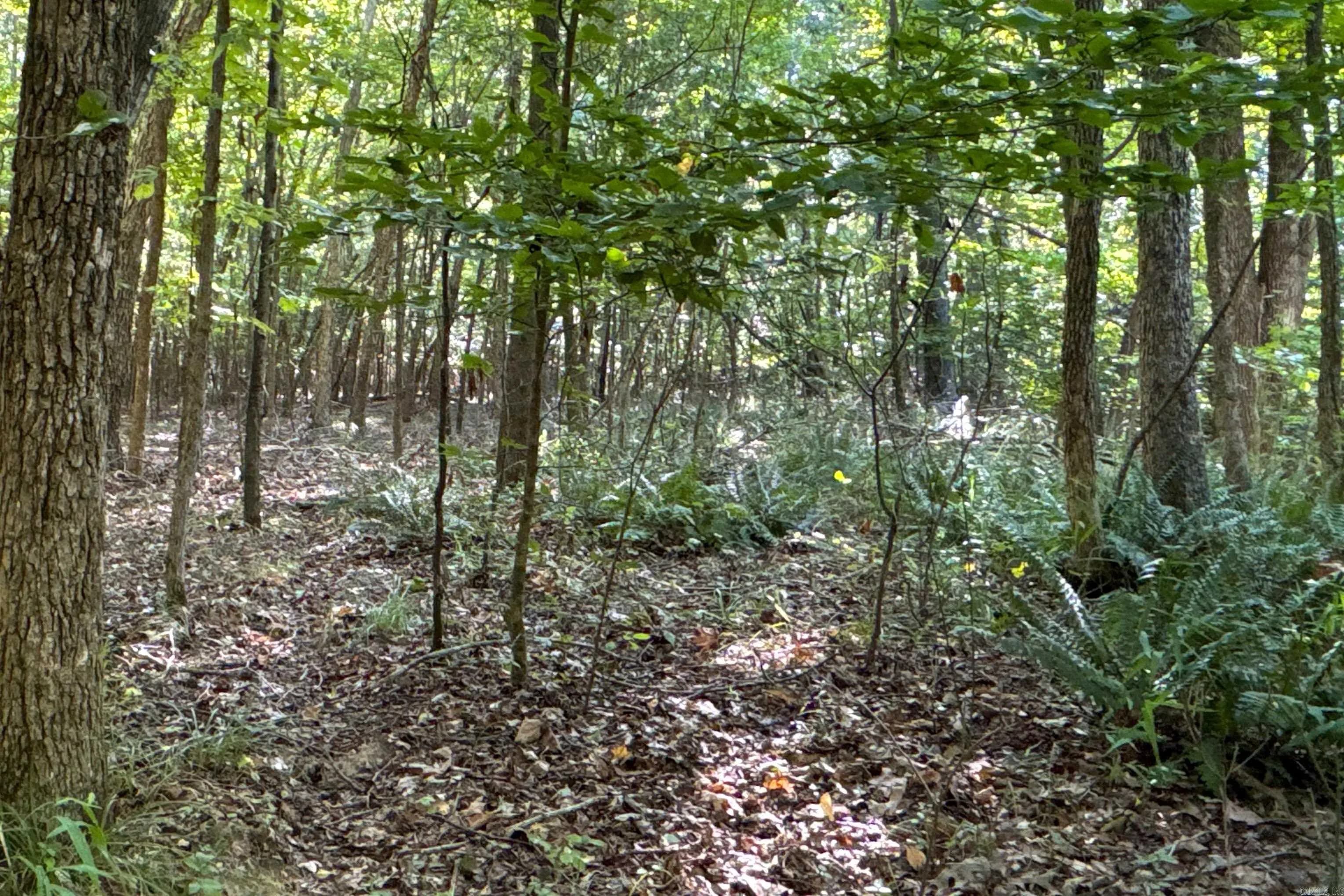Property at Clay county rd. 408 - Image 25