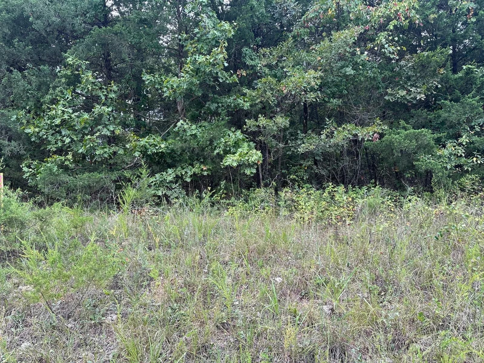 Property at 002-06988-001  County road 137 - Image 13