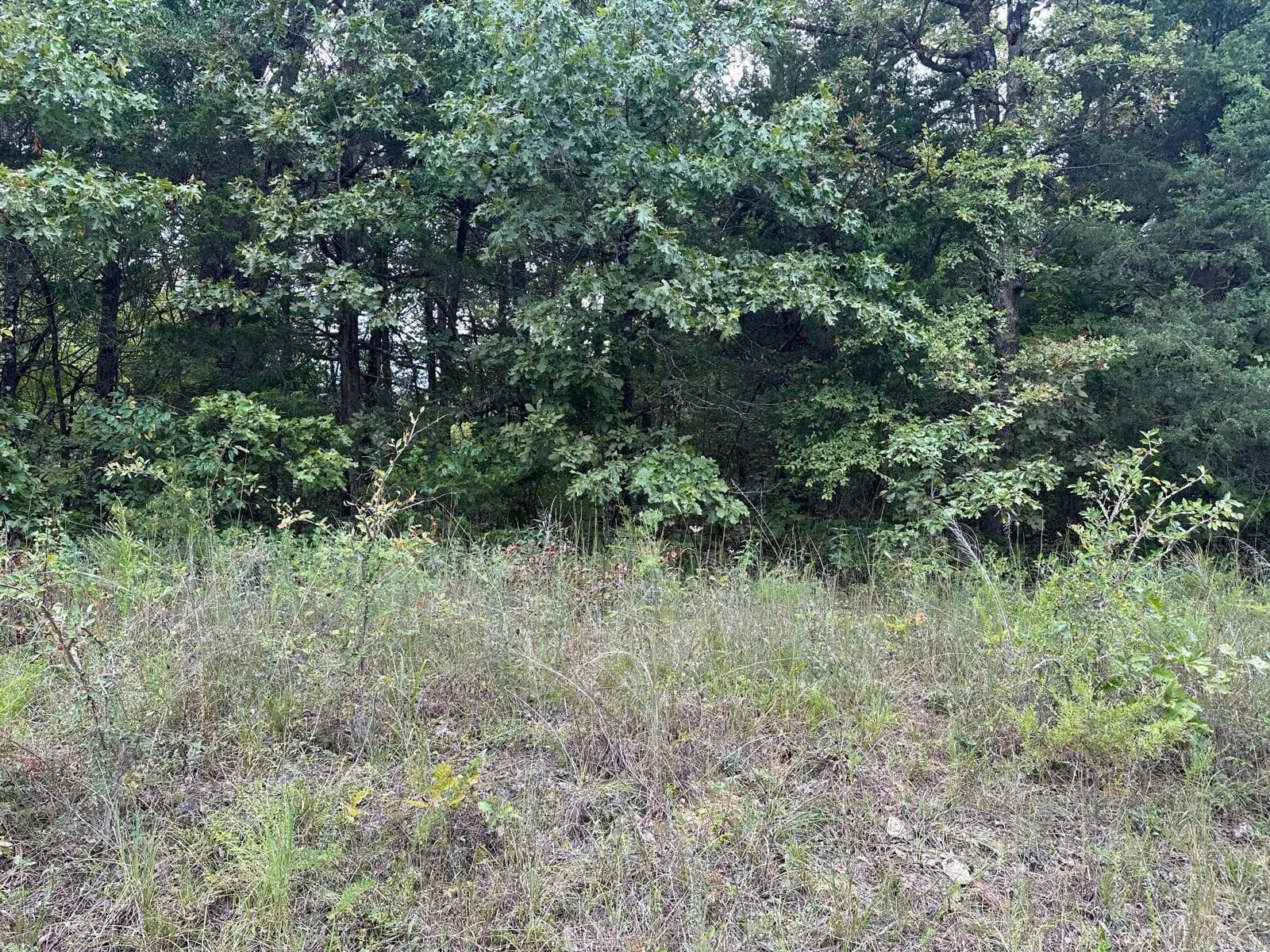 Property at 002-06988-001  County road 137 - Image 7